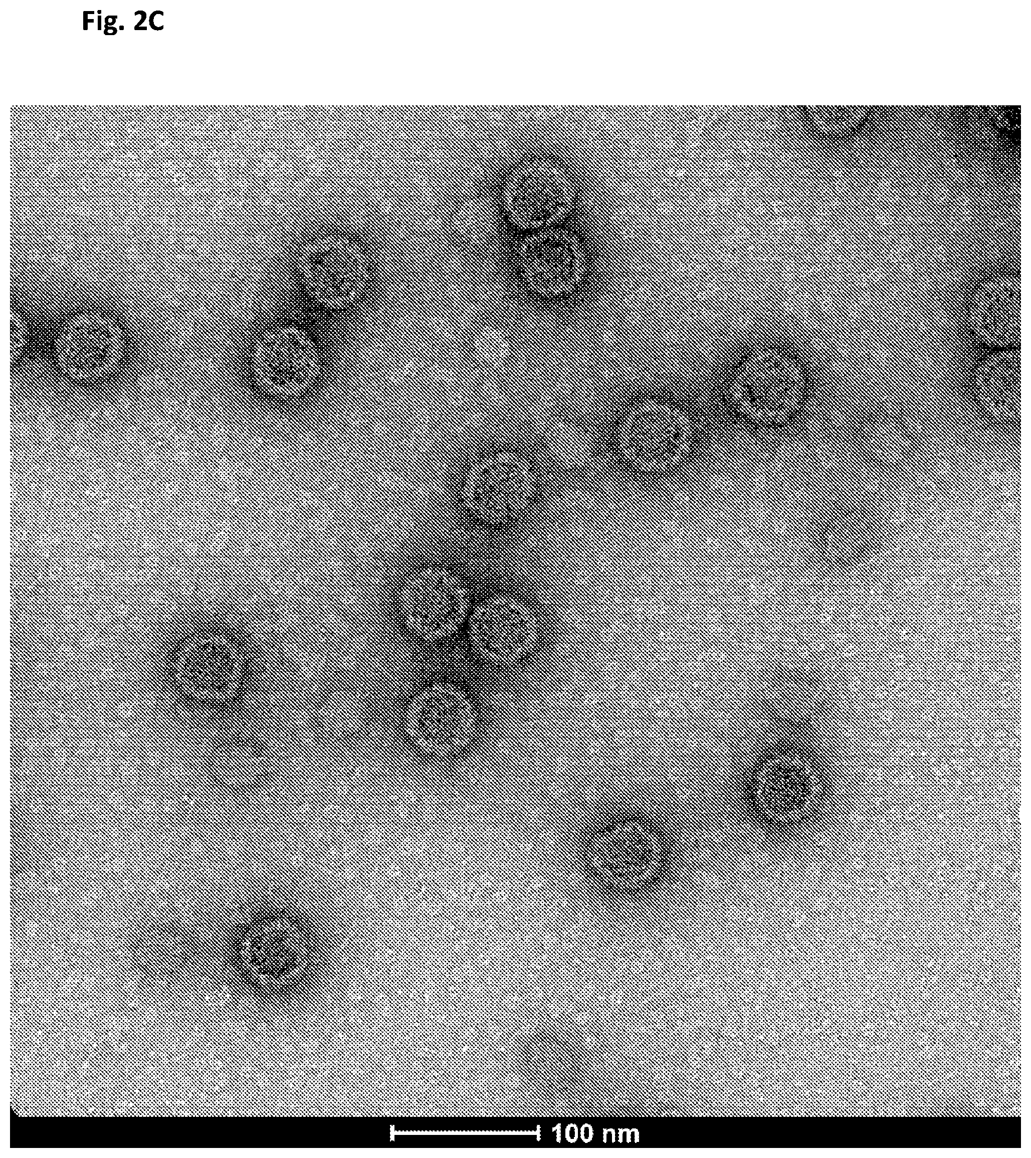 Patent US12312594 Figure 7 – Nucleic acid origami structure encapsulated by capsid units