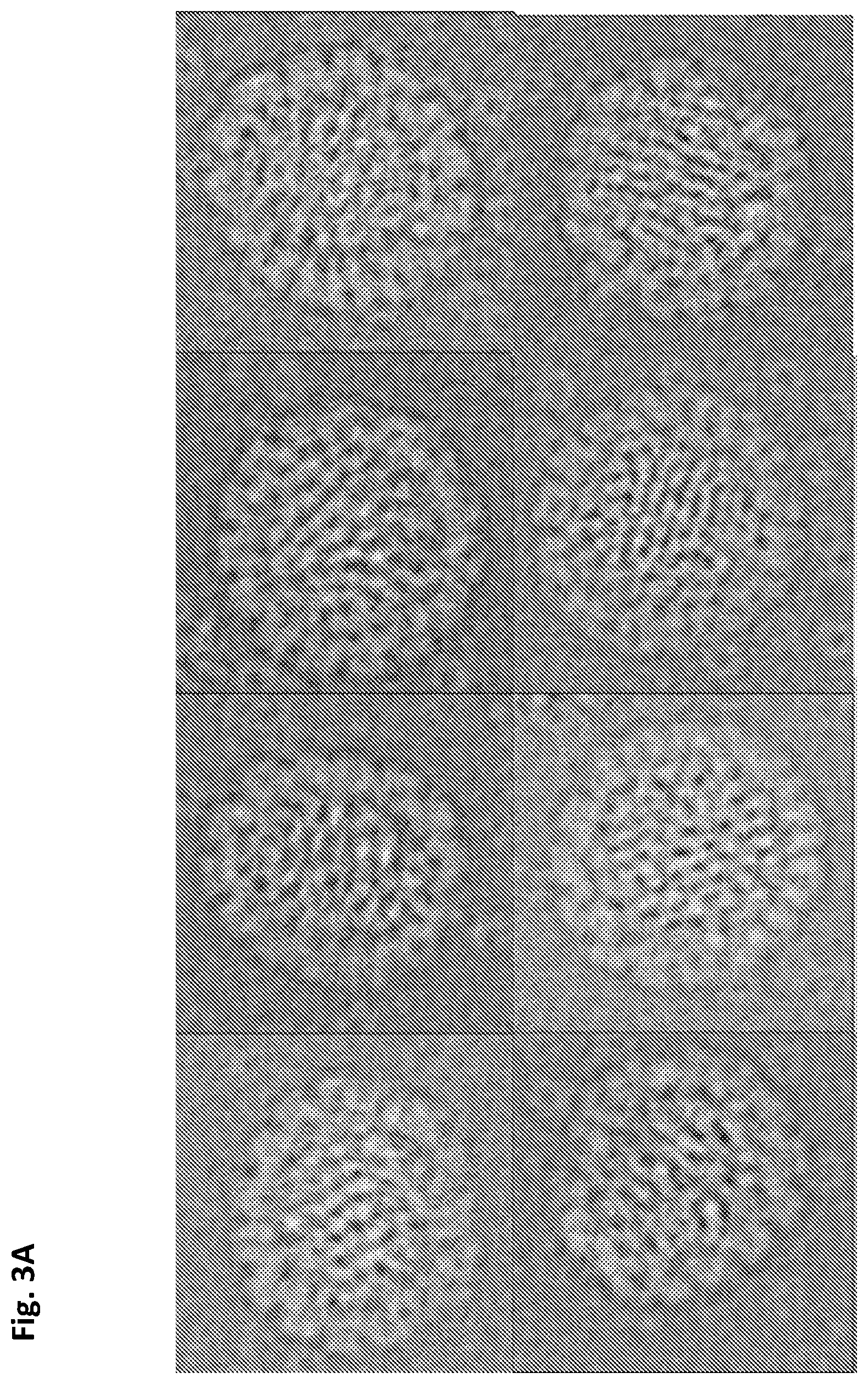 Patent US12312594 Figure 9 – Nucleic acid origami structure encapsulated by capsid units