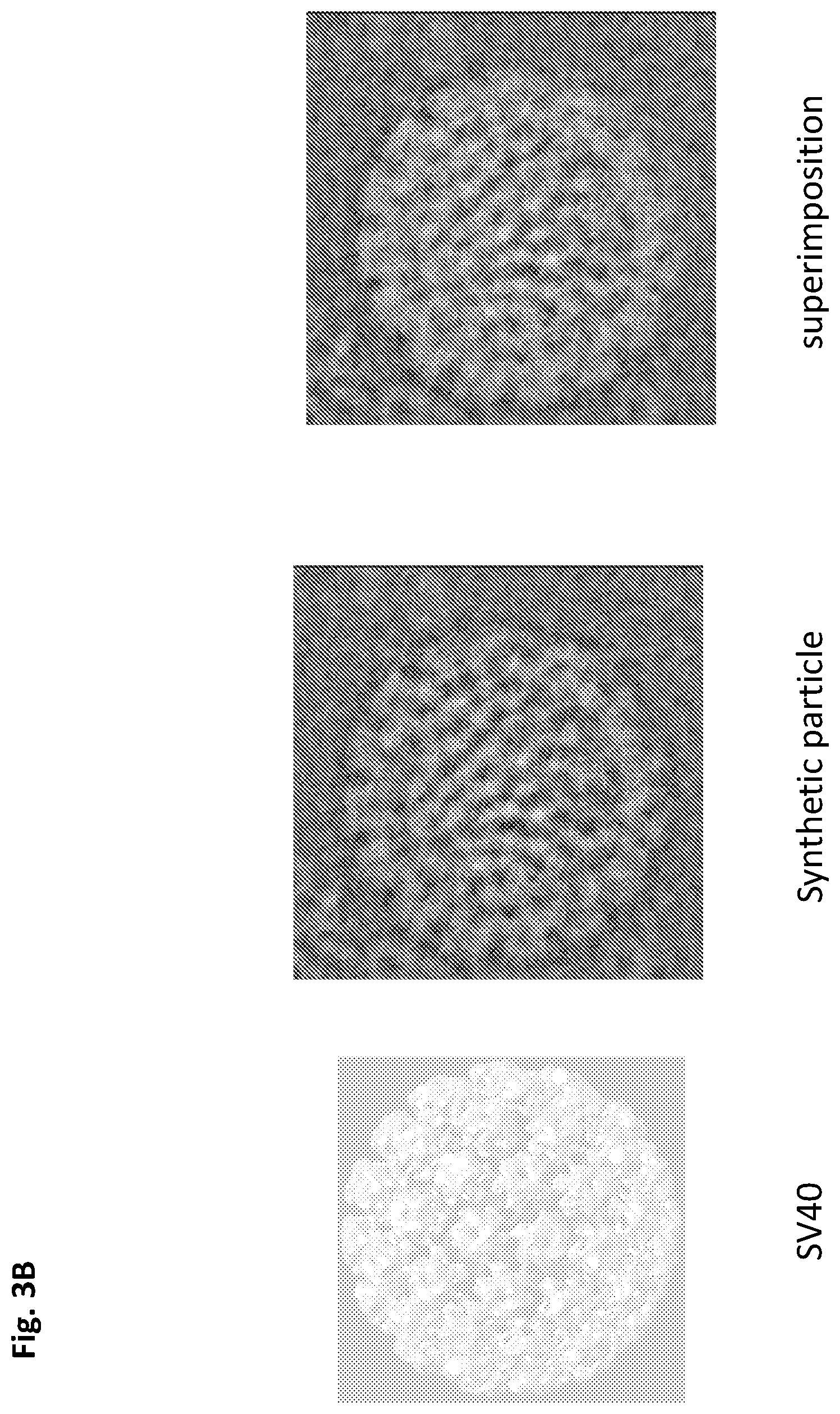 Patent US12312594 Figure 10 – Nucleic acid origami structure encapsulated by capsid units