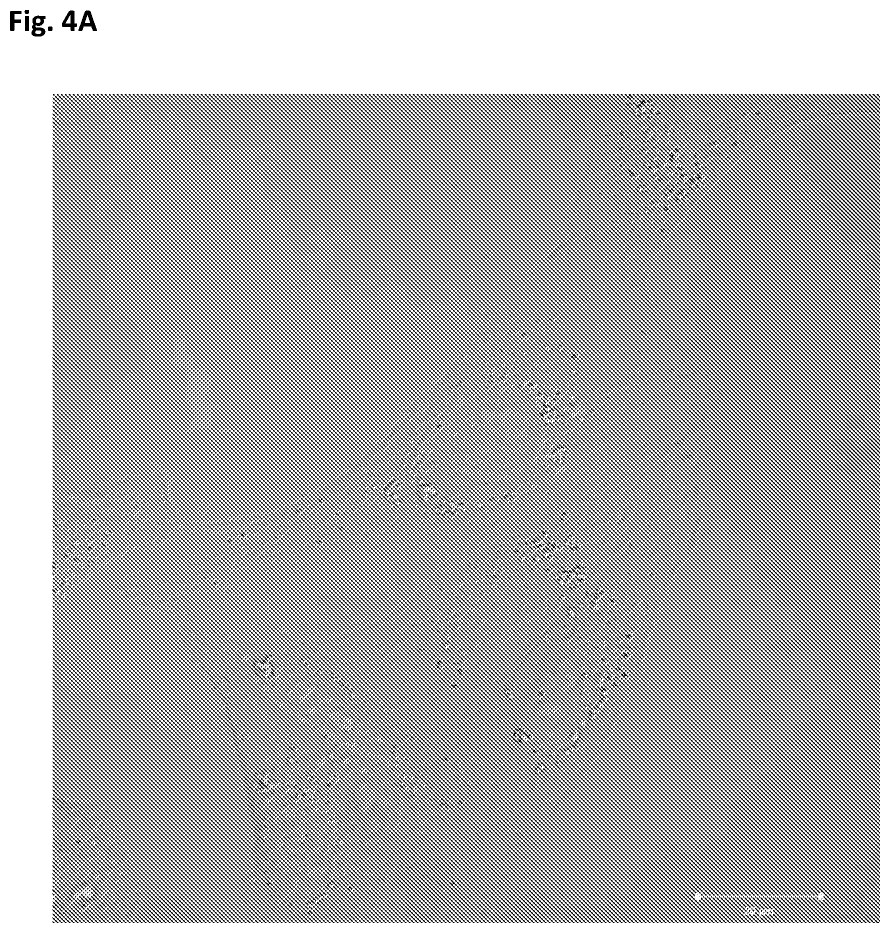 Patent US12312594 Figure 12 – Nucleic acid origami structure encapsulated by capsid units