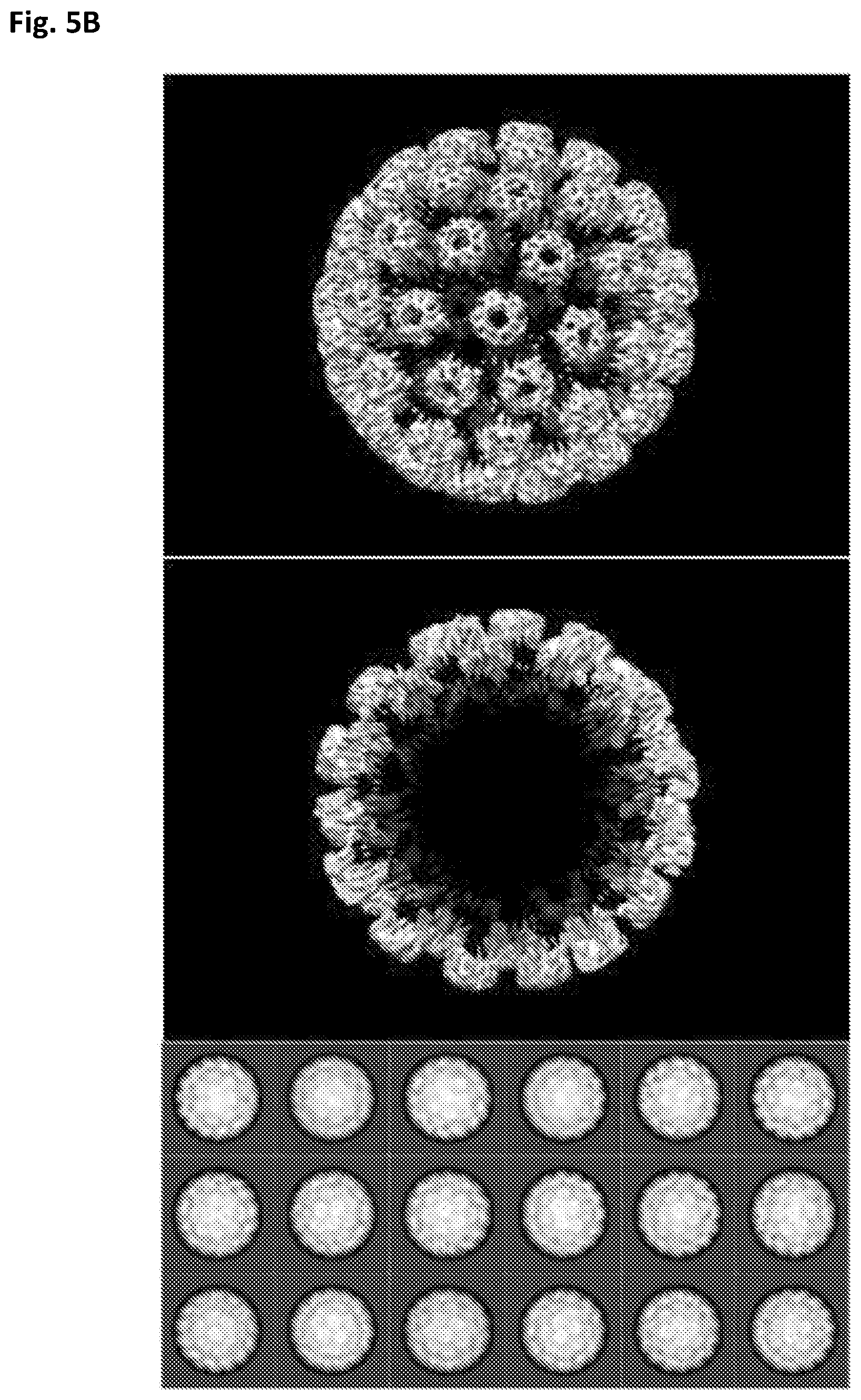 Patent US12312594 Figure 15 – Nucleic acid origami structure encapsulated by capsid units