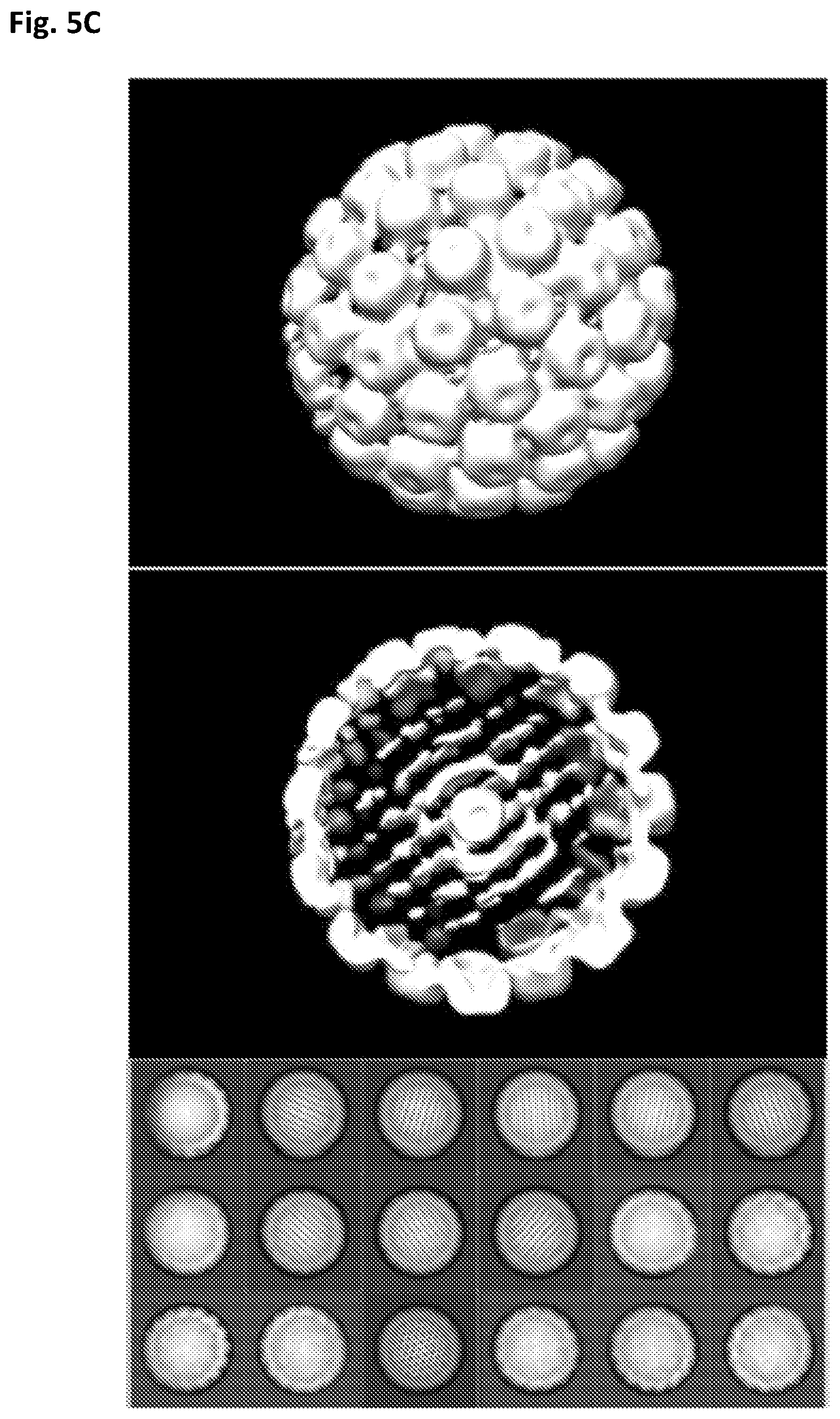 Patent US12312594 Figure 16 – Nucleic acid origami structure encapsulated by capsid units
