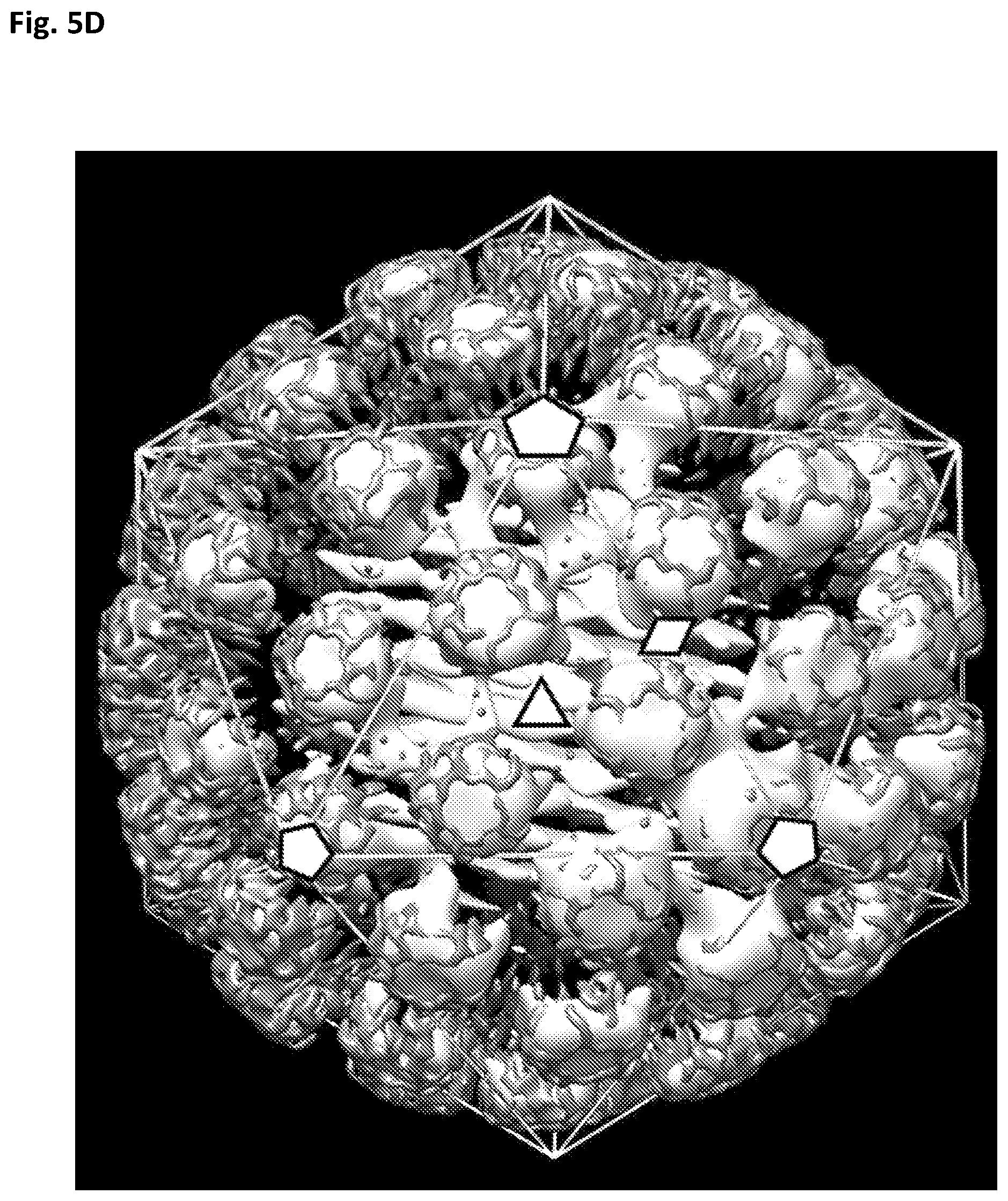 Patent US12312594 Figure 17 – Nucleic acid origami structure encapsulated by capsid units