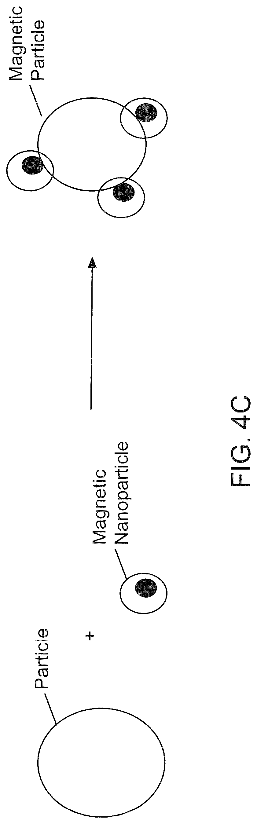 Patent US12312595 Figure 3 – Hydrogel particles as feeder cells and as synthetic antigen presenting cells