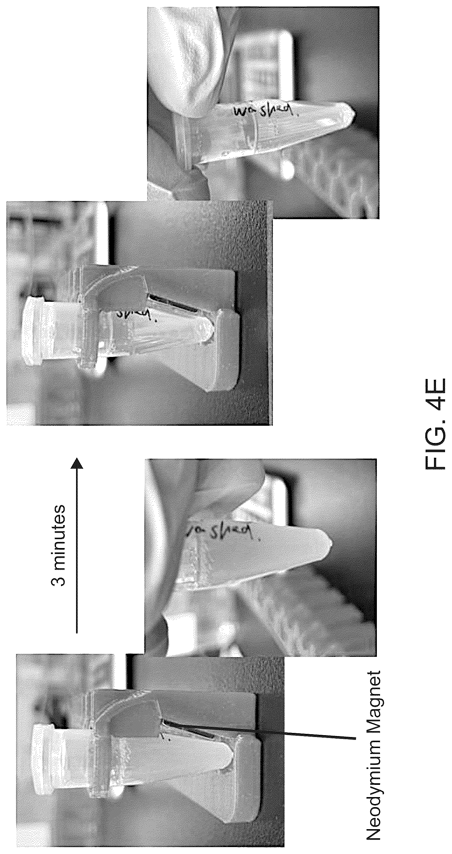 Patent US12312595 Figure 5 – Hydrogel particles as feeder cells and as synthetic antigen presenting cells
