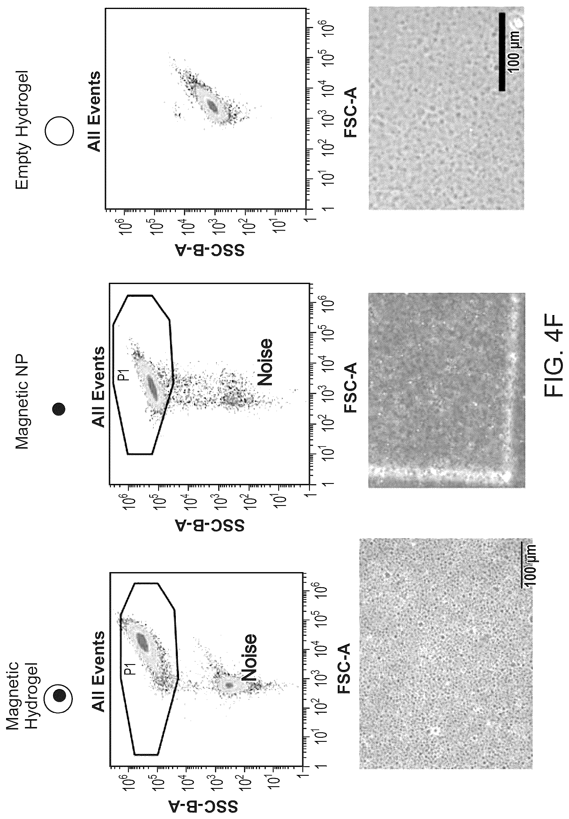 Patent US12312595 Figure 6 – Hydrogel particles as feeder cells and as synthetic antigen presenting cells