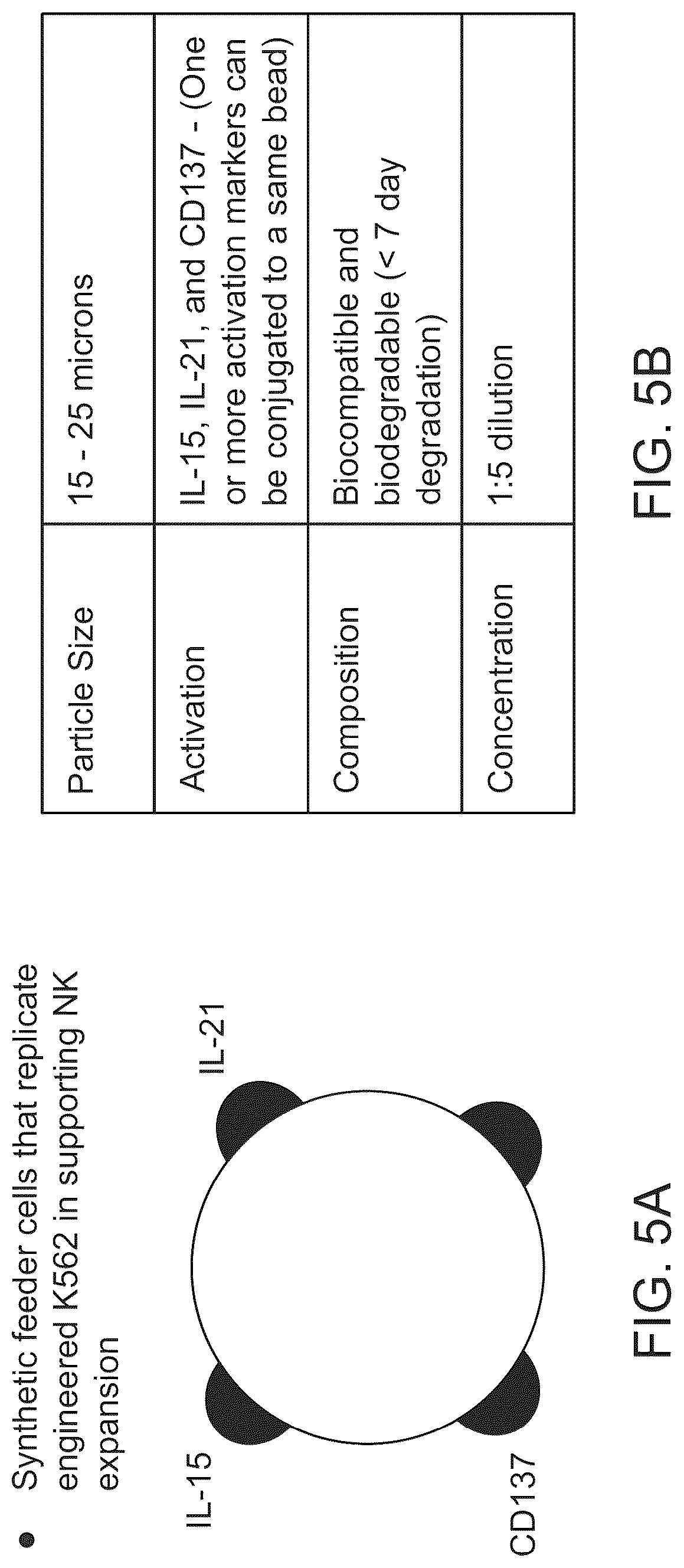 Patent US12312595 Figure 7 – Hydrogel particles as feeder cells and as synthetic antigen presenting cells