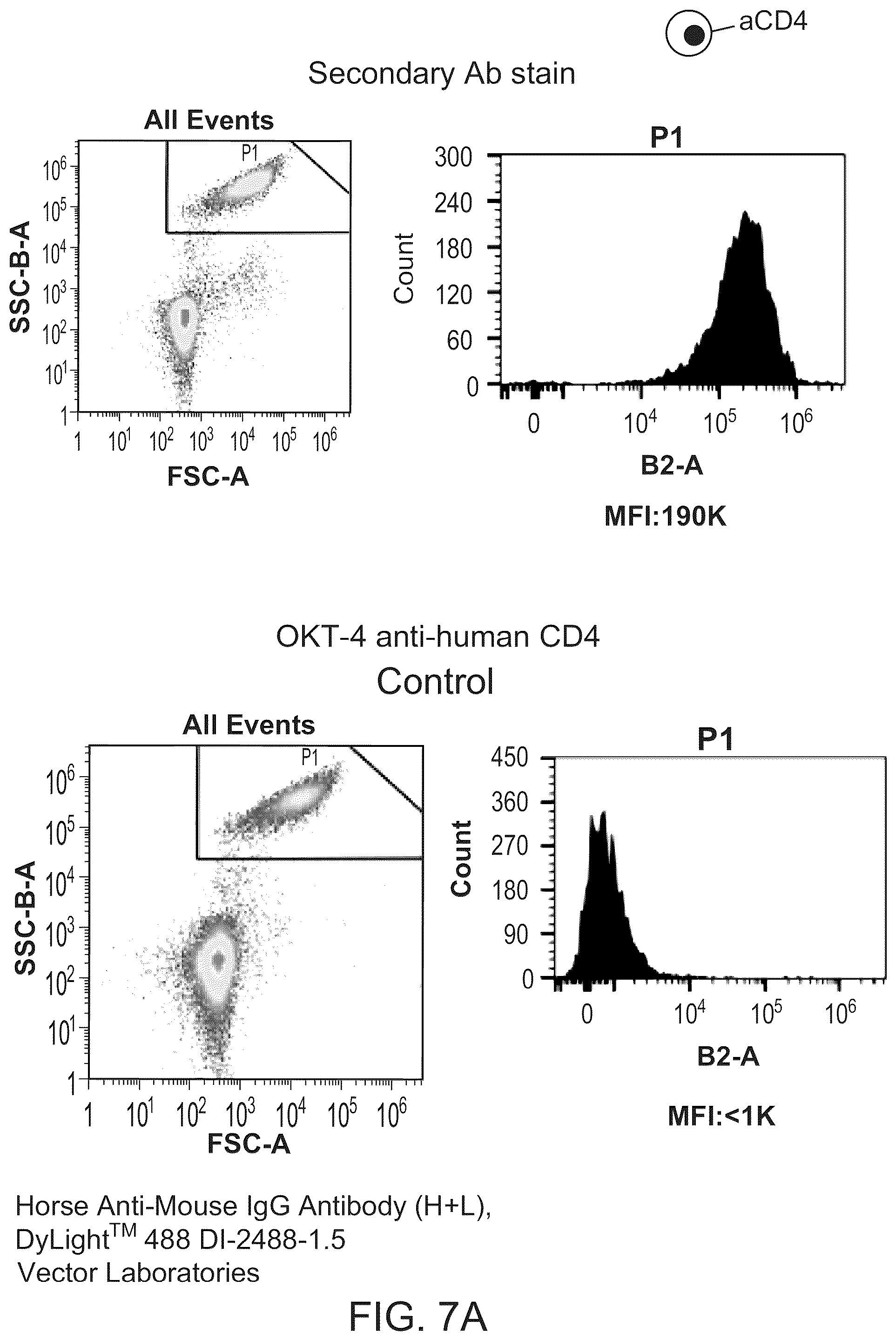 Patent US12312595 Figure 9 – Hydrogel particles as feeder cells and as synthetic antigen presenting cells