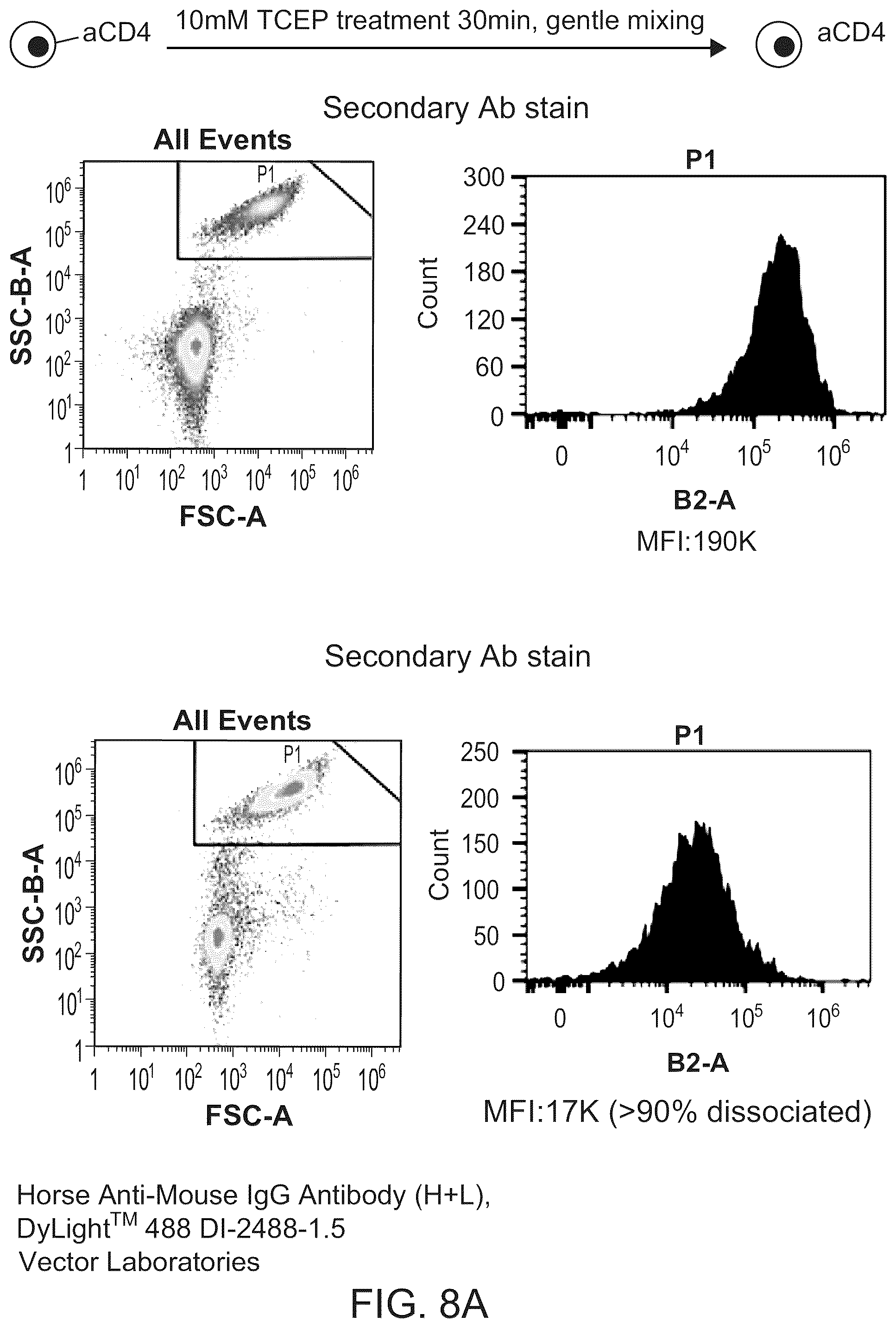 Patent US12312595 Figure 13 – Hydrogel particles as feeder cells and as synthetic antigen presenting cells