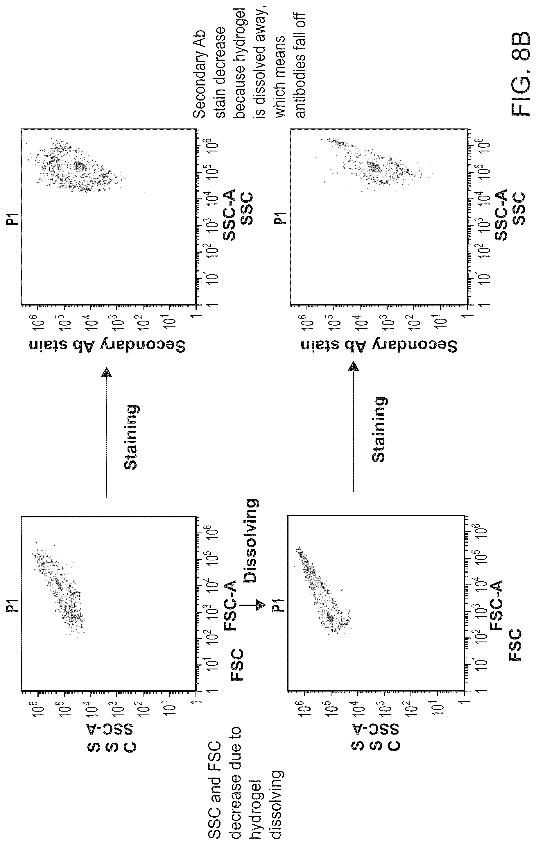 Patent US12312595 Figure 14 – Hydrogel particles as feeder cells and as synthetic antigen presenting cells