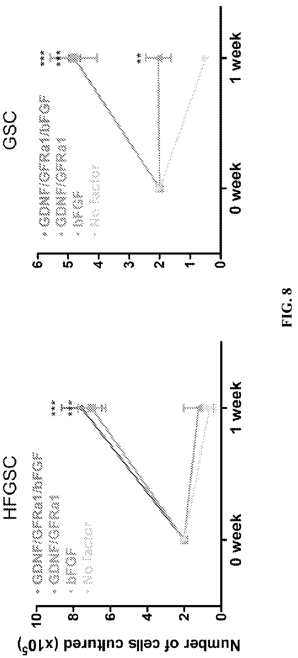 Patent US12312596 Figure 8 – Method of transdifferentiating hair follicle stem cells into sperm stem cells