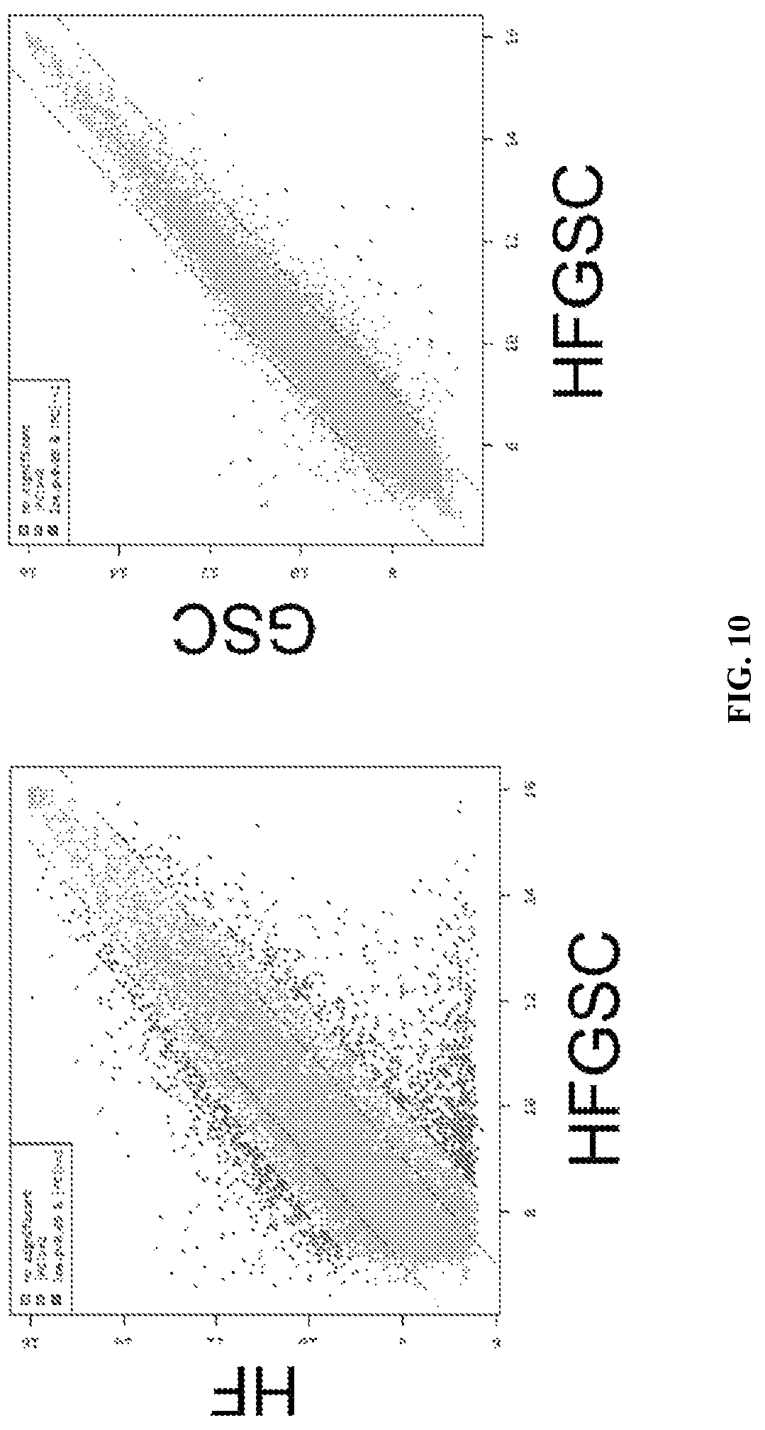 Patent US12312596 Figure 10 – Method of transdifferentiating hair follicle stem cells into sperm stem cells