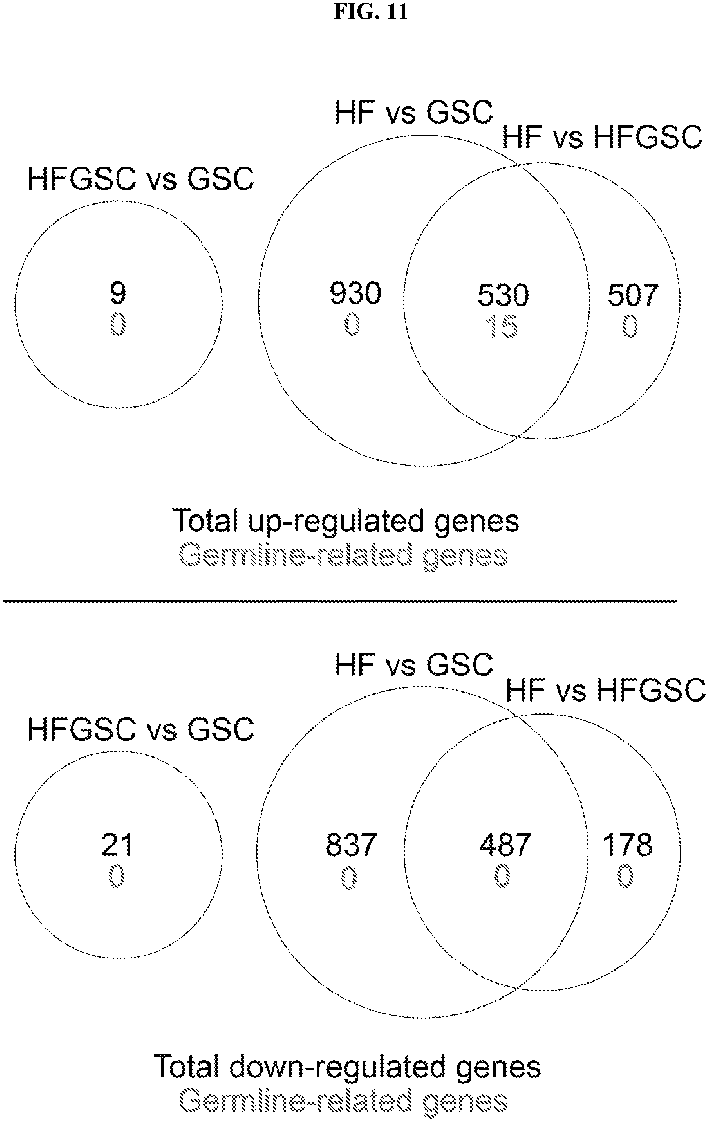 Patent US12312596 Figure 11 – Method of transdifferentiating hair follicle stem cells into sperm stem cells