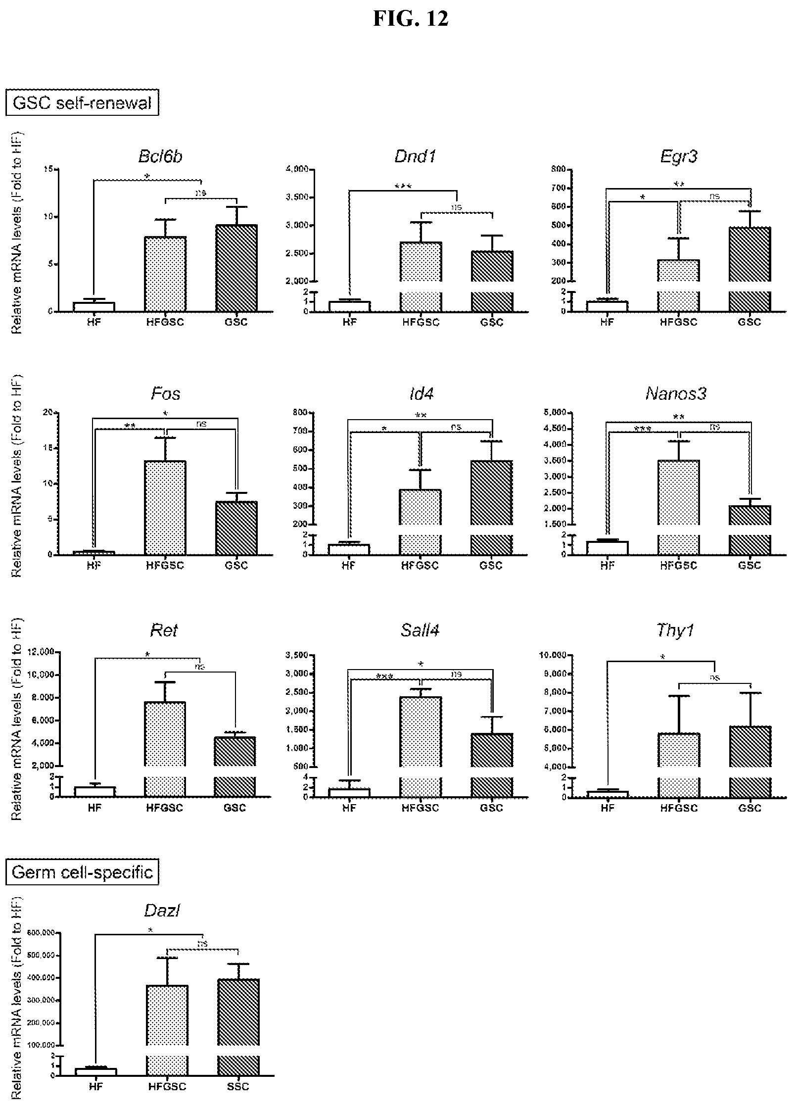 Patent US12312596 Figure 12 – Method of transdifferentiating hair follicle stem cells into sperm stem cells
