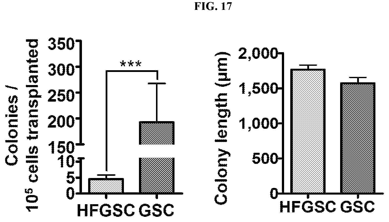 Patent US12312596 Figure 17 – Method of transdifferentiating hair follicle stem cells into sperm stem cells