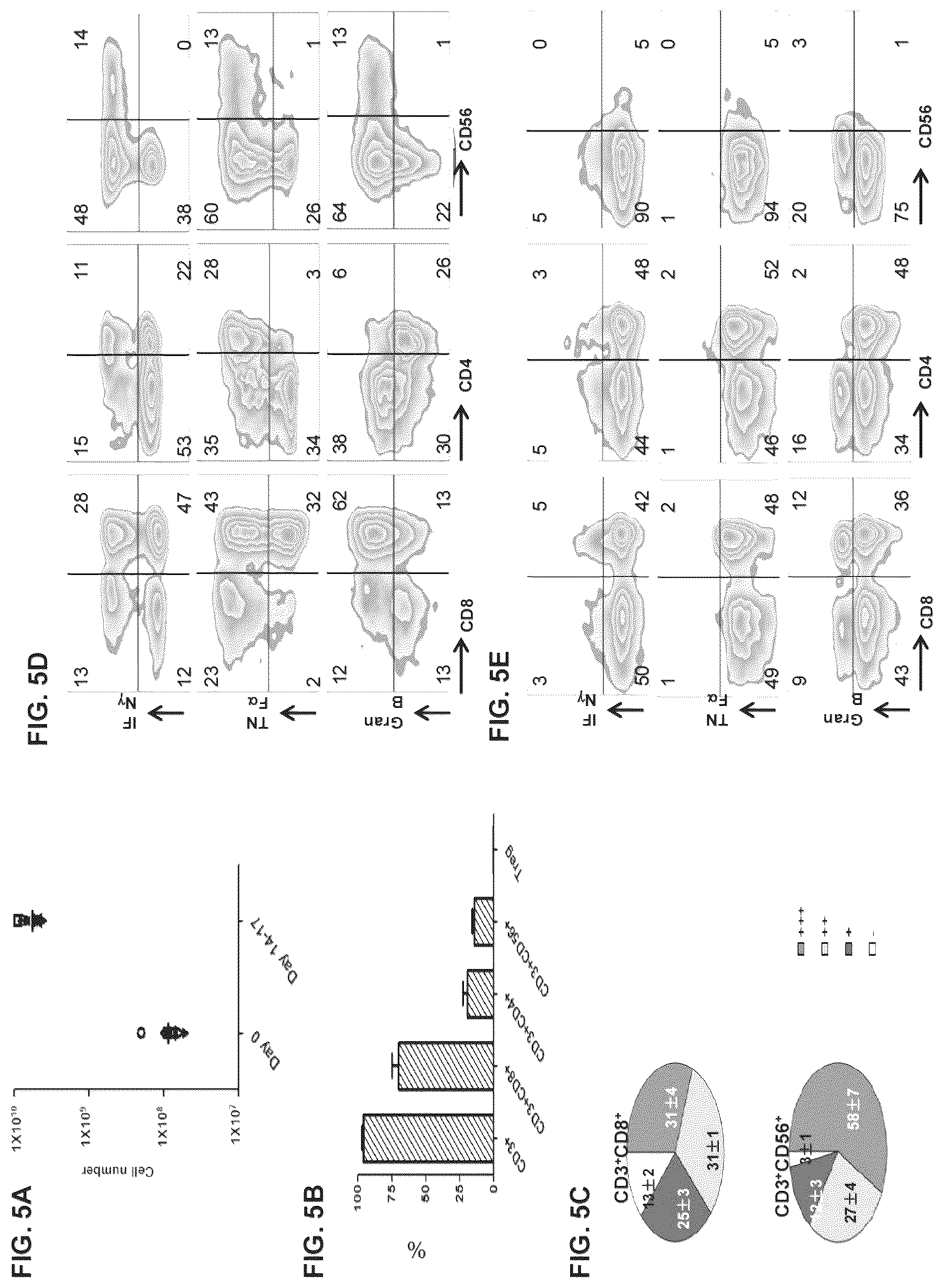 Patent US12312597 Figure 6 – Methods of cancer treatment using activated t cells