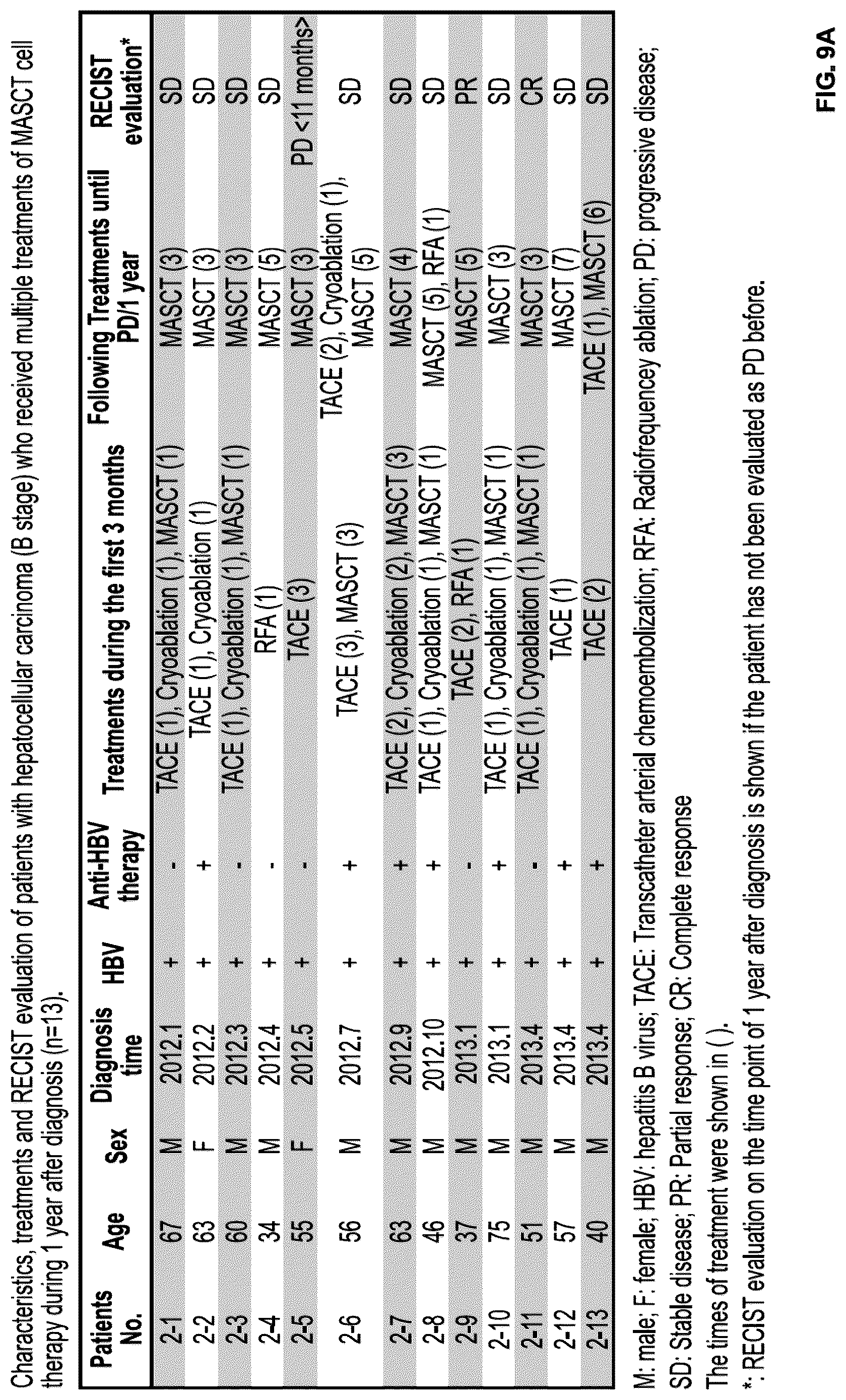 Patent US12312597 Figure 12 – Methods of cancer treatment using activated t cells