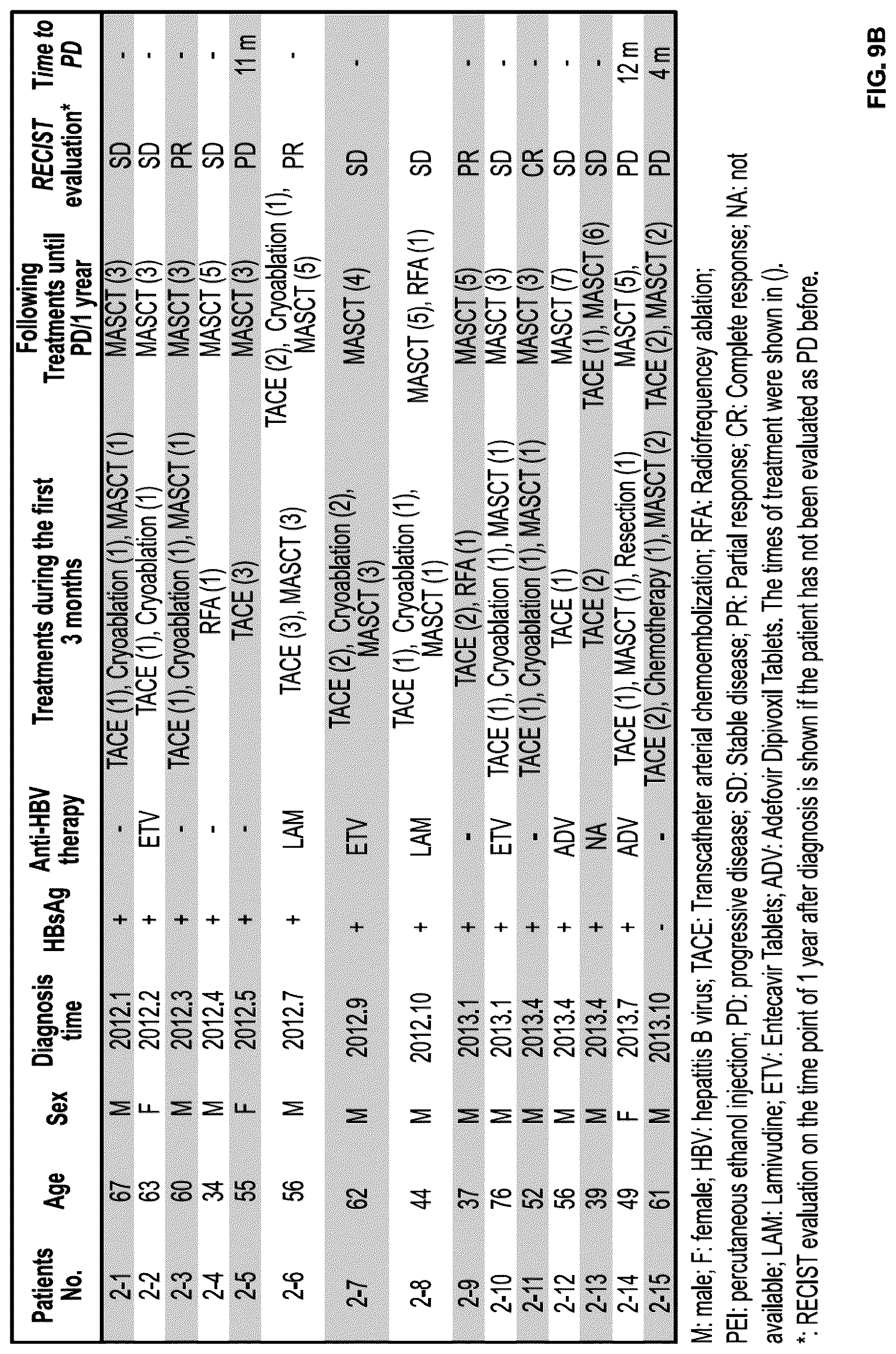 Patent US12312597 Figure 13 – Methods of cancer treatment using activated t cells