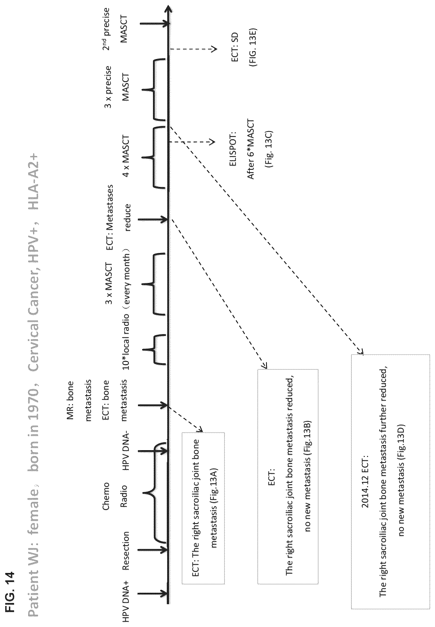 Patent US12312597 Figure 20 – Methods of cancer treatment using activated t cells
