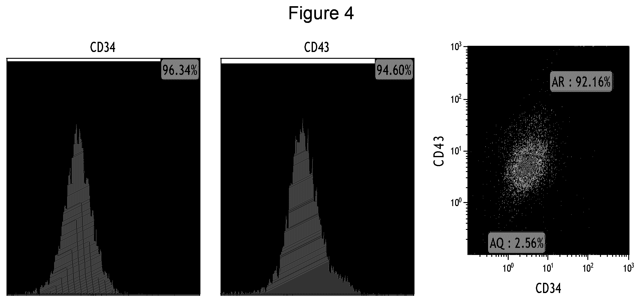 Patent US12312598 Figure 4 – Method of generating hemangioblasts