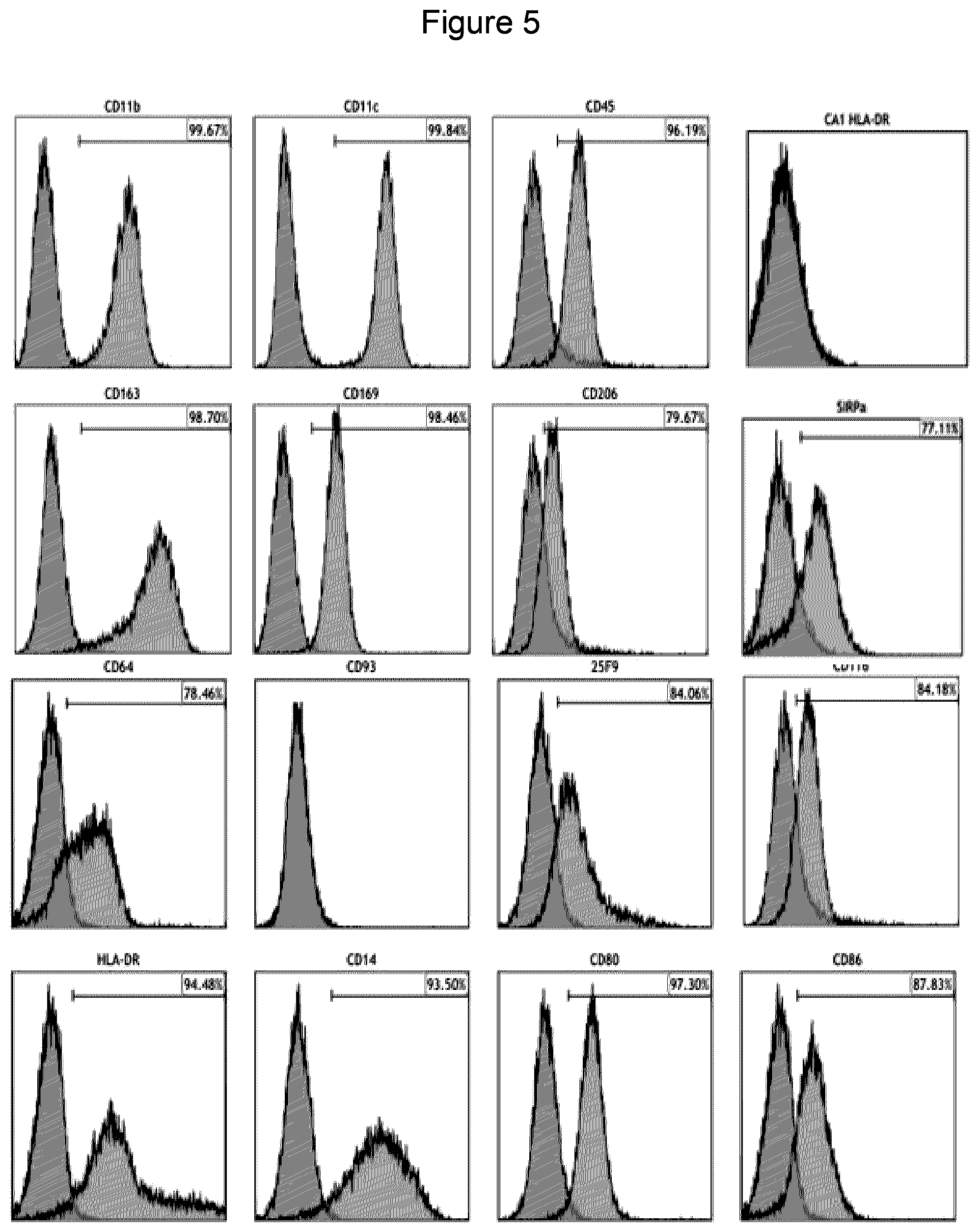 Patent US12312598 Figure 5 – Method of generating hemangioblasts