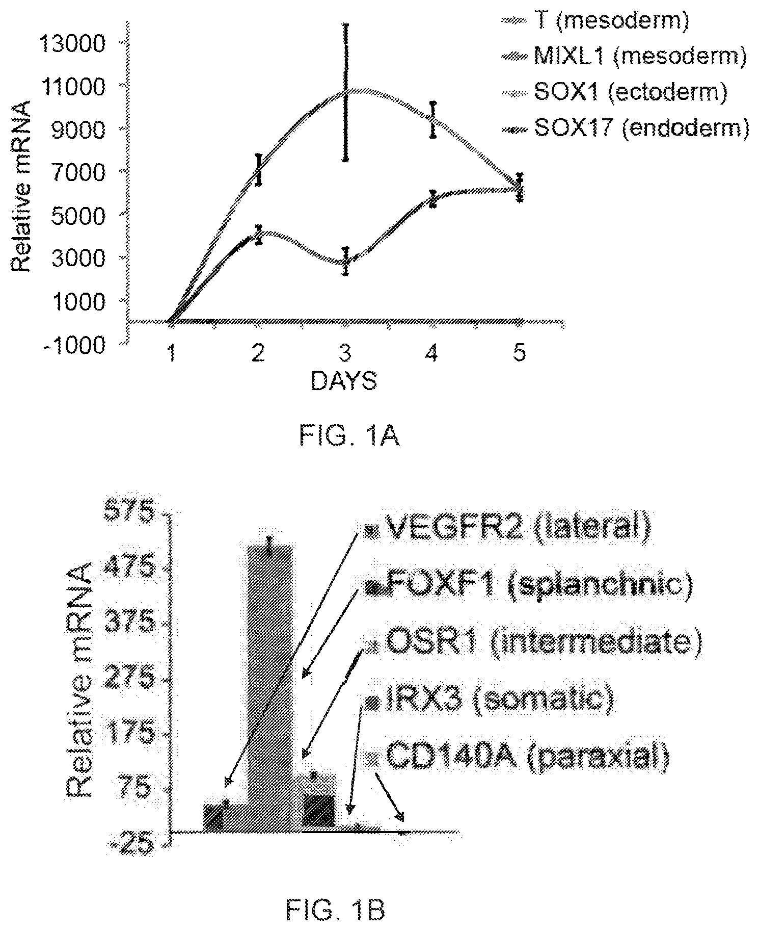 Patent US12312599 — Methods, compositions, and kits for producing beige adipocytes and treating metabolic disorders — Figure 1