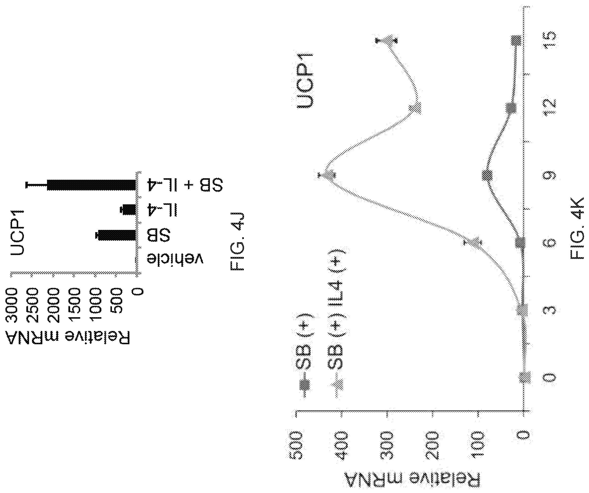 Patent US12312599 Figure 17 – Methods, compositions, and kits for producing beige adipocytes and treating metabolic disorders