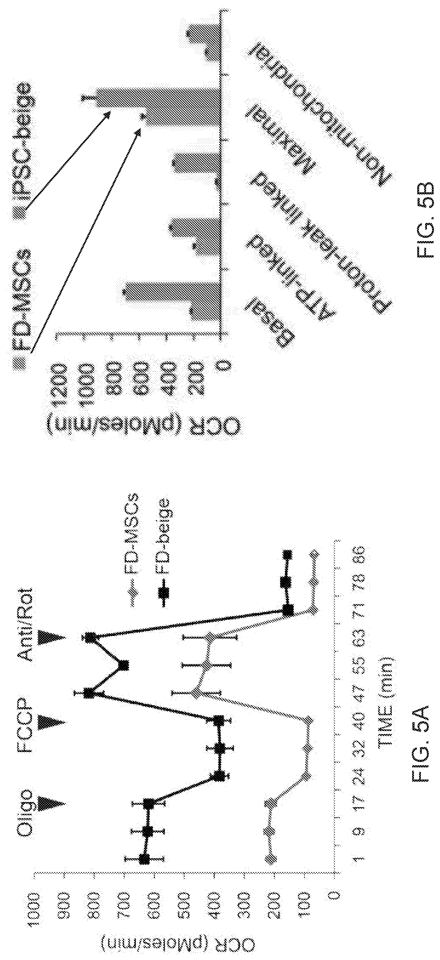 Patent US12312599 Figure 19 – Methods, compositions, and kits for producing beige adipocytes and treating metabolic disorders