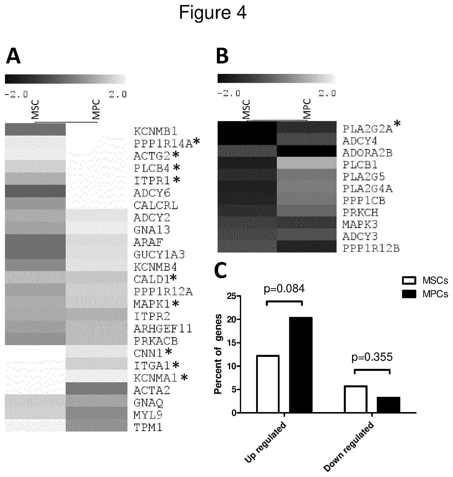 Patent US12312600 Figure 4 – Methods for obtaining induced smooth muscle cells