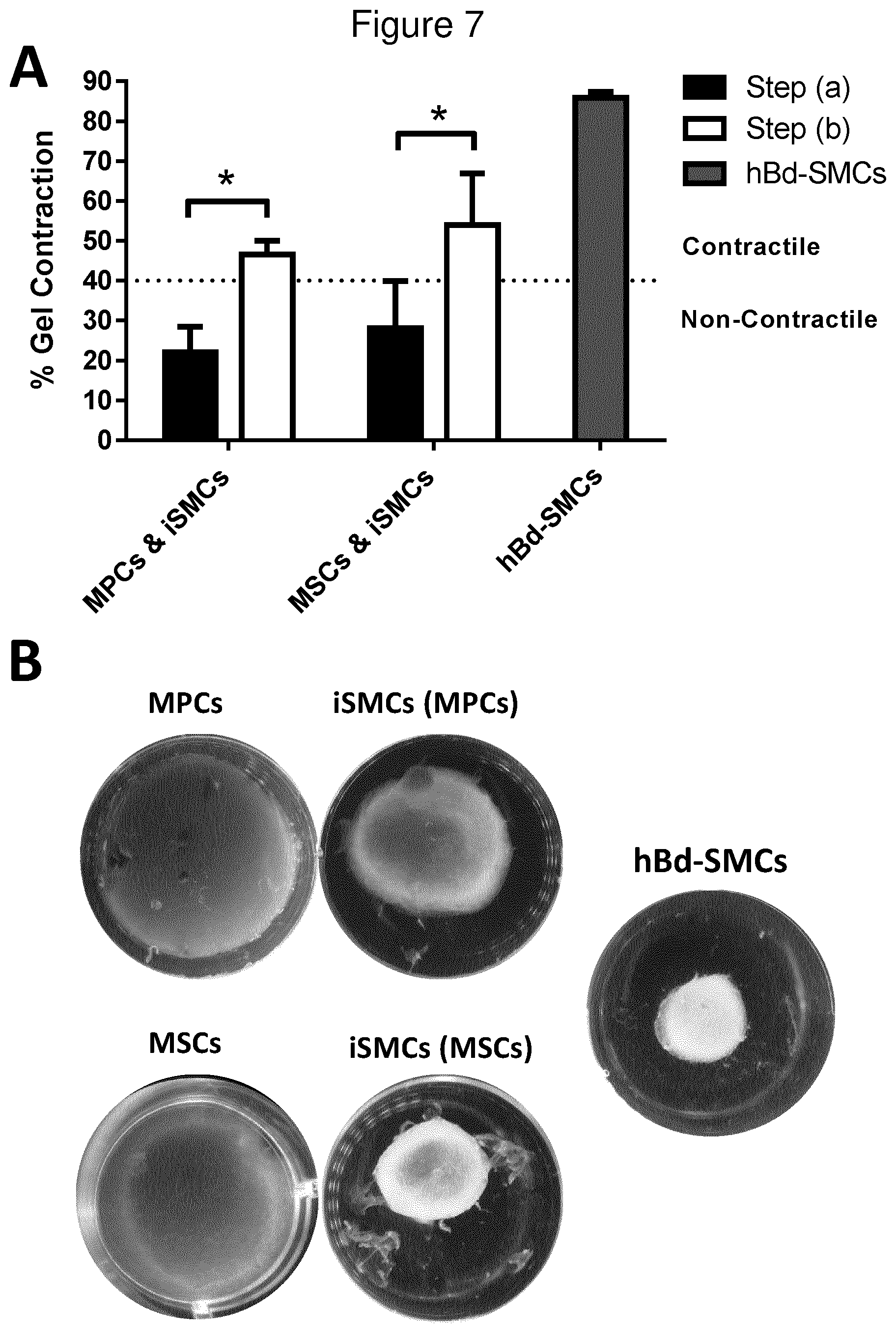 Patent US12312600 Figure 7 – Methods for obtaining induced smooth muscle cells