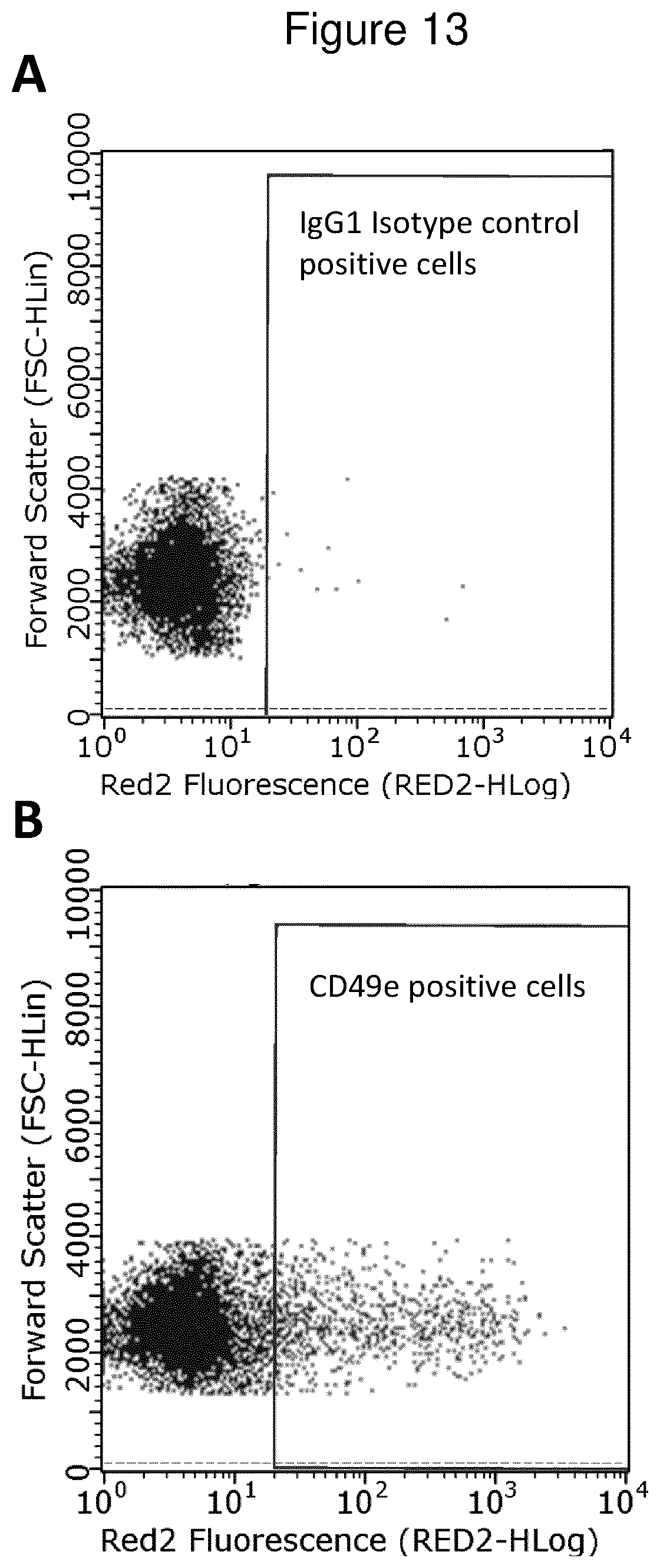 Patent US12312600 Figure 13 – Methods for obtaining induced smooth muscle cells
