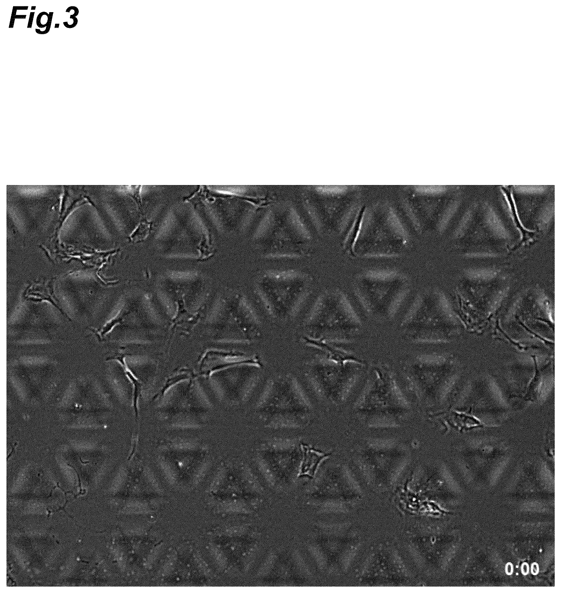 Patent US12312601 Figure 3 – Culture substrate, method for manufacturing culture substrate, and culturing method and culturing device for stem cell