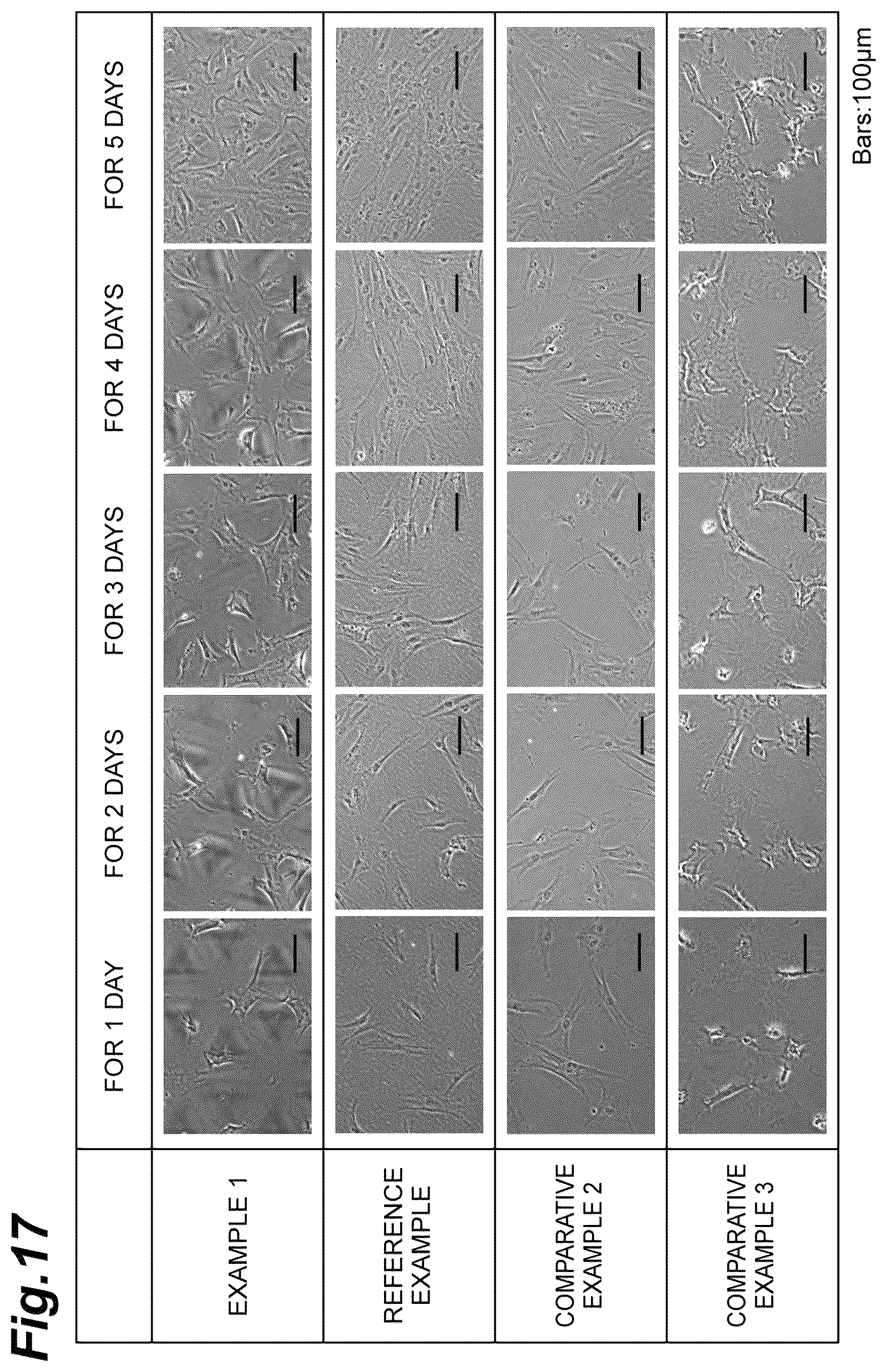Patent US12312601 Figure 17 – Culture substrate, method for manufacturing culture substrate, and culturing method and culturing device for stem cell