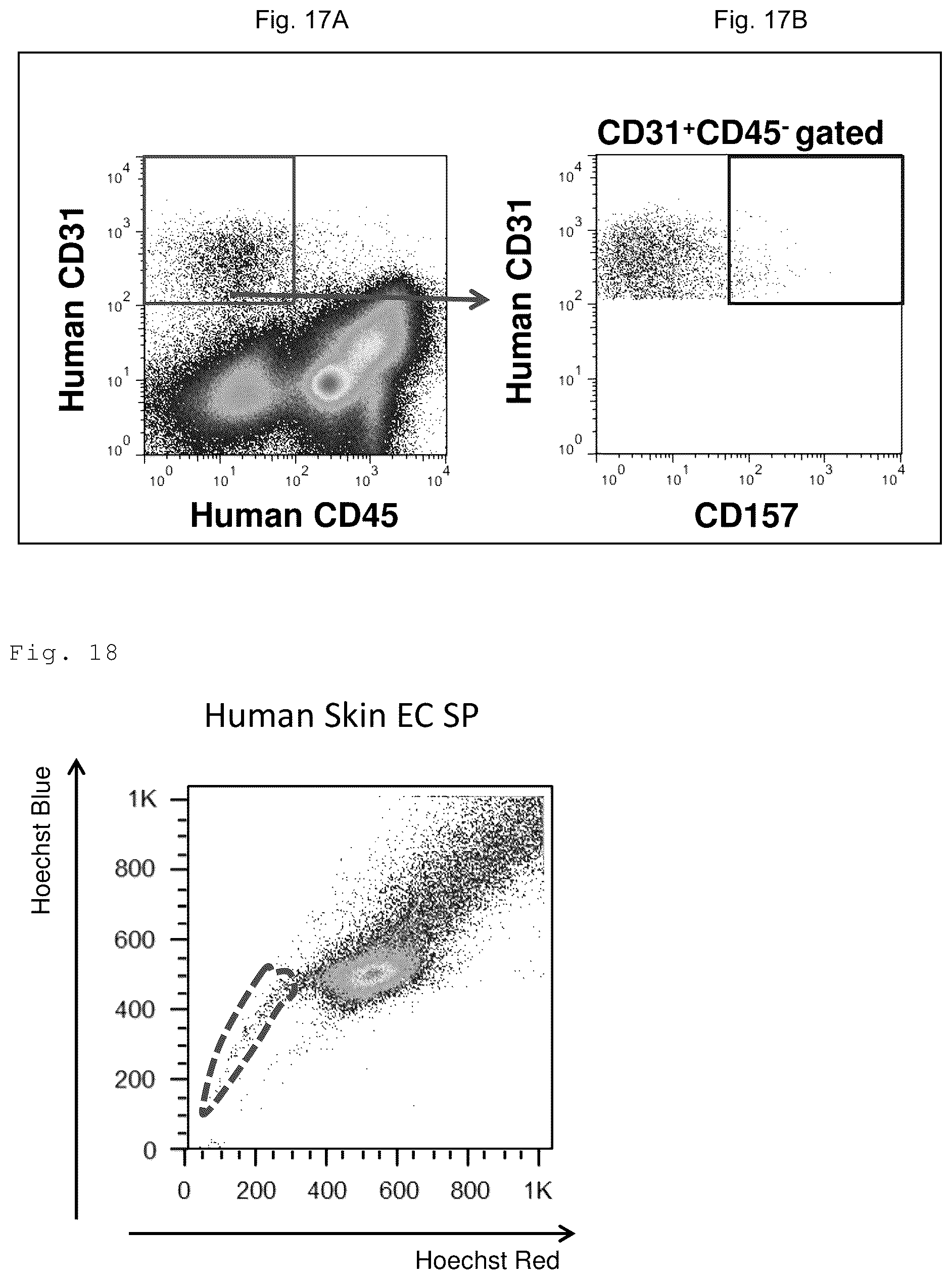 Patent US12312603 Figure 9 – Cell populations of CD31-positive, CD45-negative, CD200-positive mammalian cells and use thereof