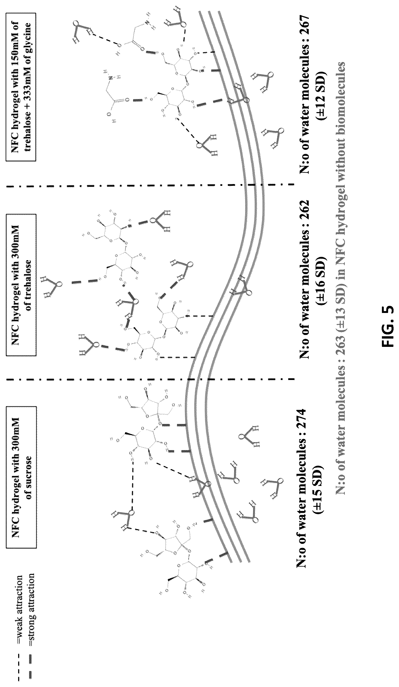 Patent US12312604 Figure 7 – Controlling freeze-drying of a hydrogel