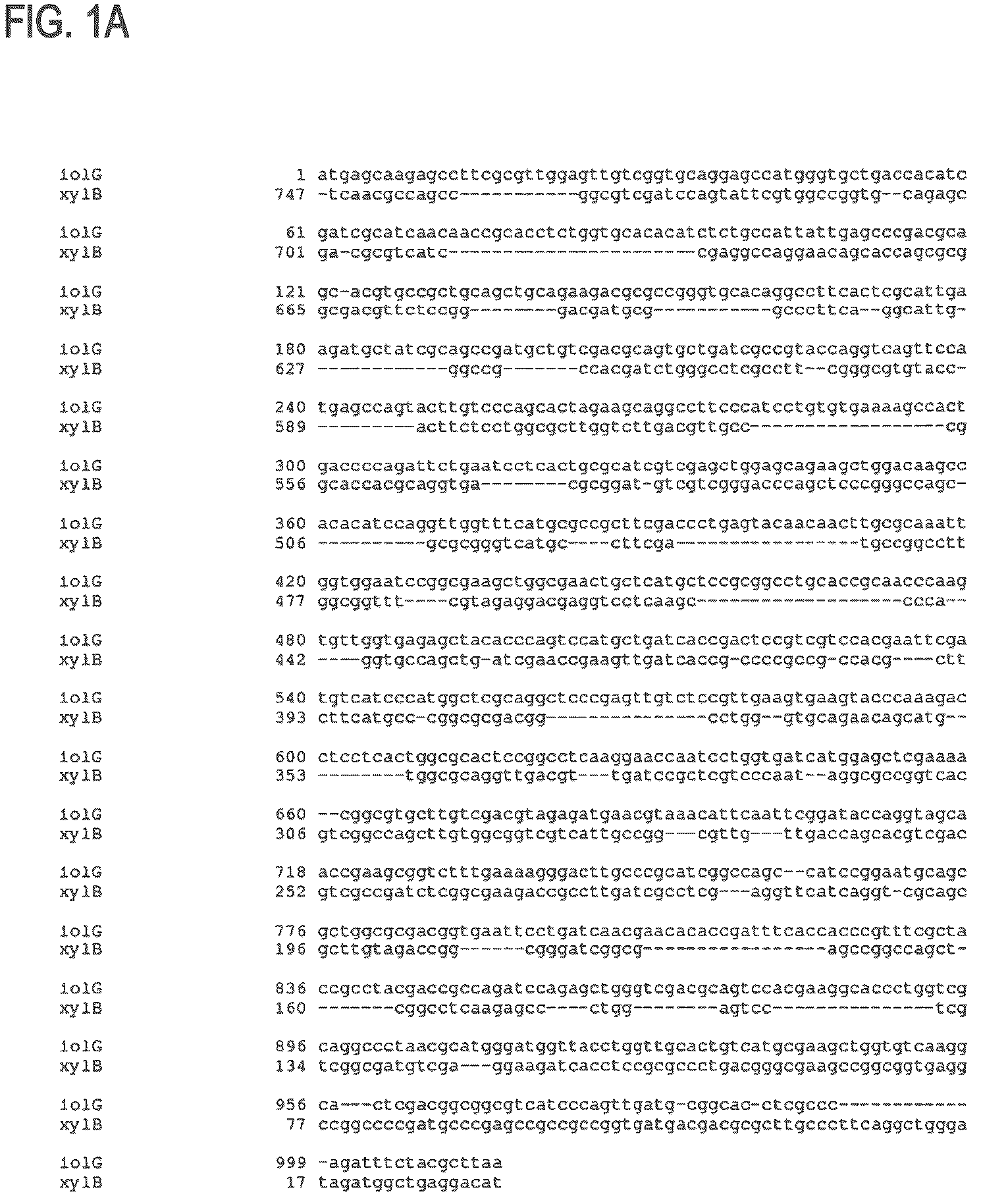 Patent US12312608 Figure 1 – D-xylose dehydrogenase from coryneform bacteria and process for preparing D-xylonate