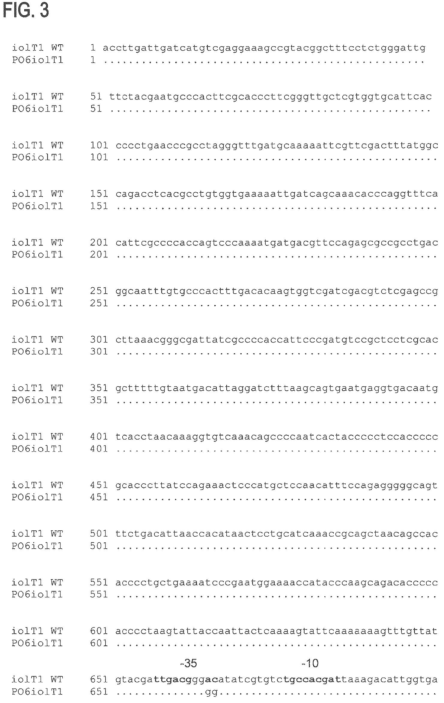 Patent US12312608 Figure 4 – D-xylose dehydrogenase from coryneform bacteria and process for preparing D-xylonate
