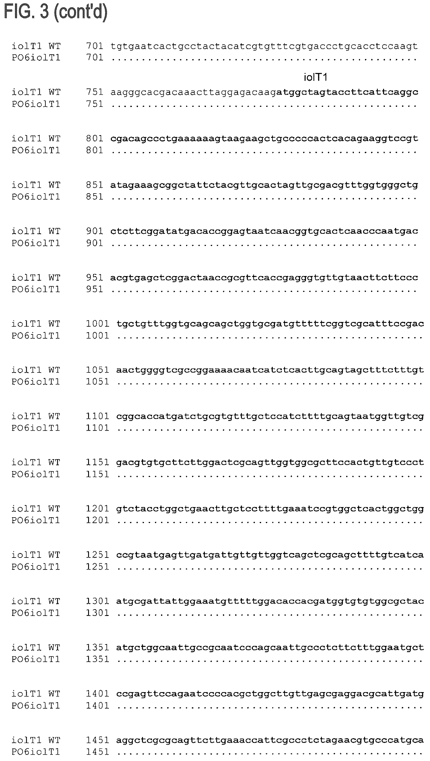 Patent US12312608 Figure 5 – D-xylose dehydrogenase from coryneform bacteria and process for preparing D-xylonate