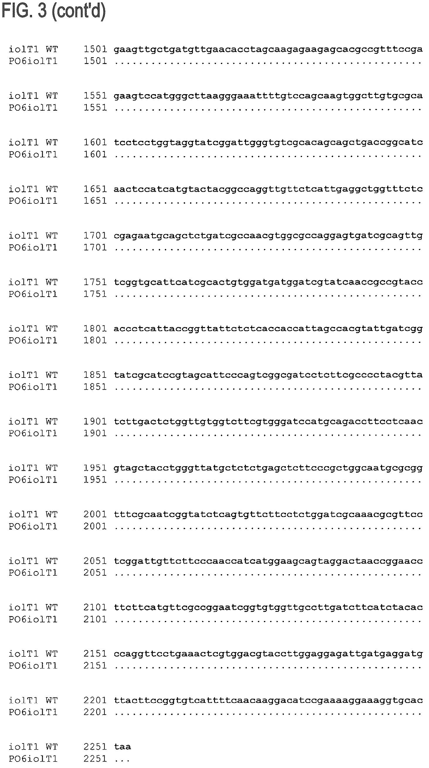 Patent US12312608 Figure 6 – D-xylose dehydrogenase from coryneform bacteria and process for preparing D-xylonate