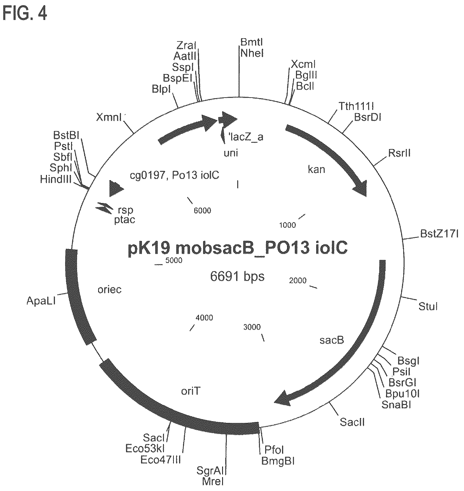 Patent US12312608 Figure 7 – D-xylose dehydrogenase from coryneform bacteria and process for preparing D-xylonate