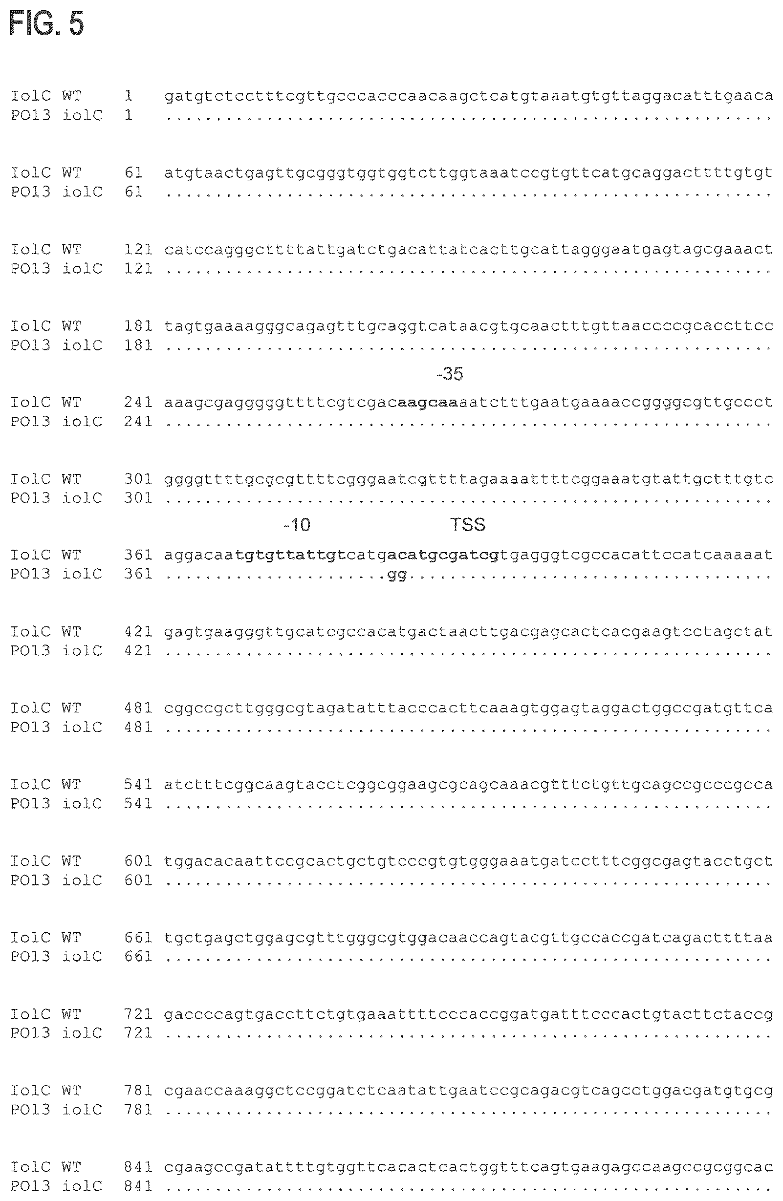 Patent US12312608 Figure 8 – D-xylose dehydrogenase from coryneform bacteria and process for preparing D-xylonate