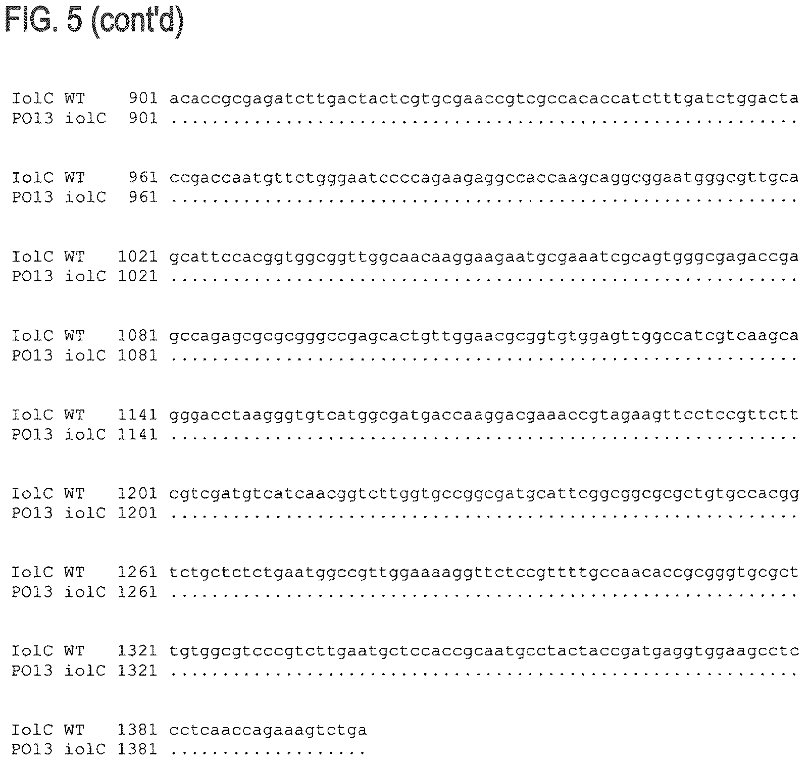 Patent US12312608 Figure 9 – D-xylose dehydrogenase from coryneform bacteria and process for preparing D-xylonate