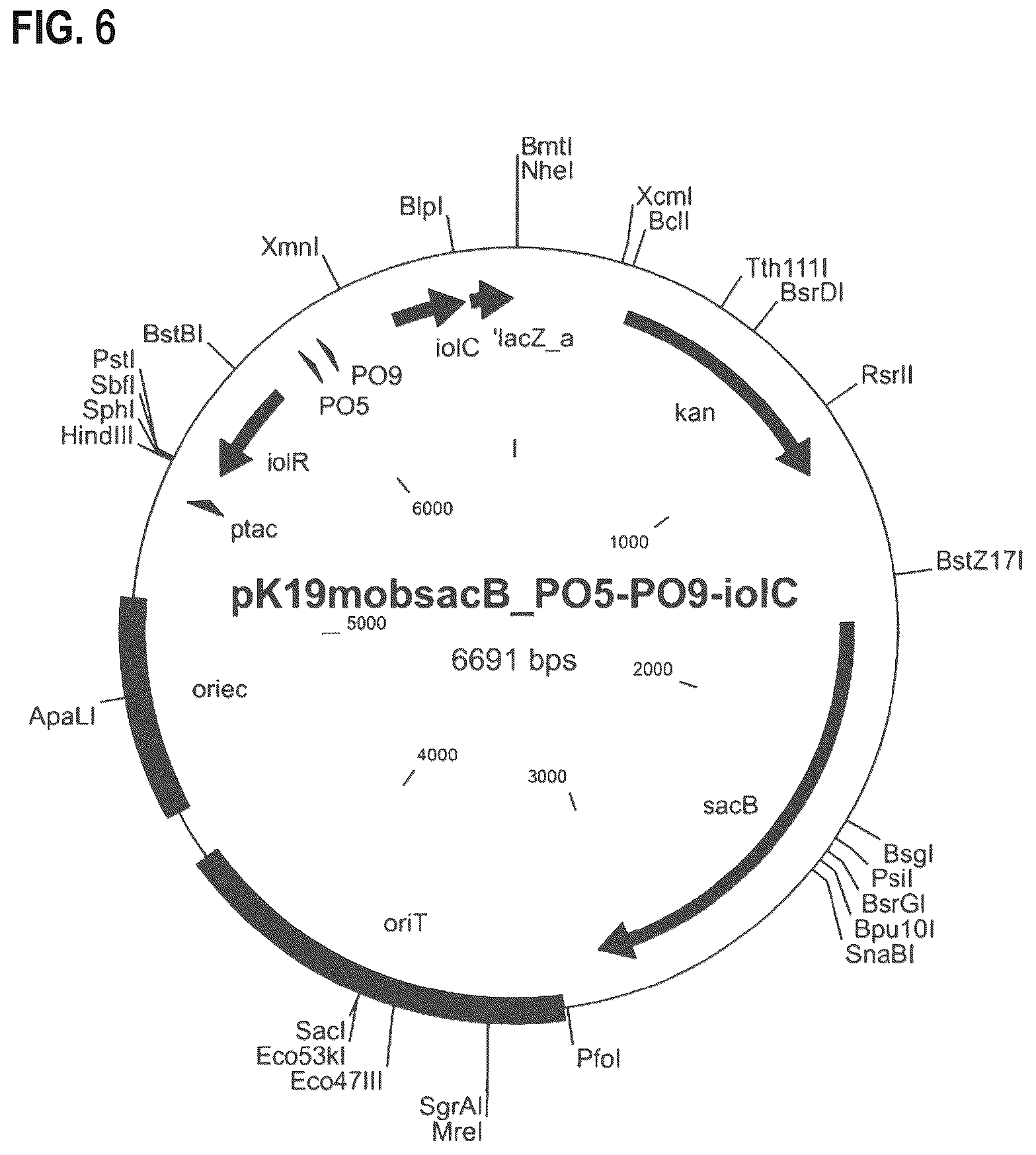 Patent US12312608 Figure 10 – D-xylose dehydrogenase from coryneform bacteria and process for preparing D-xylonate