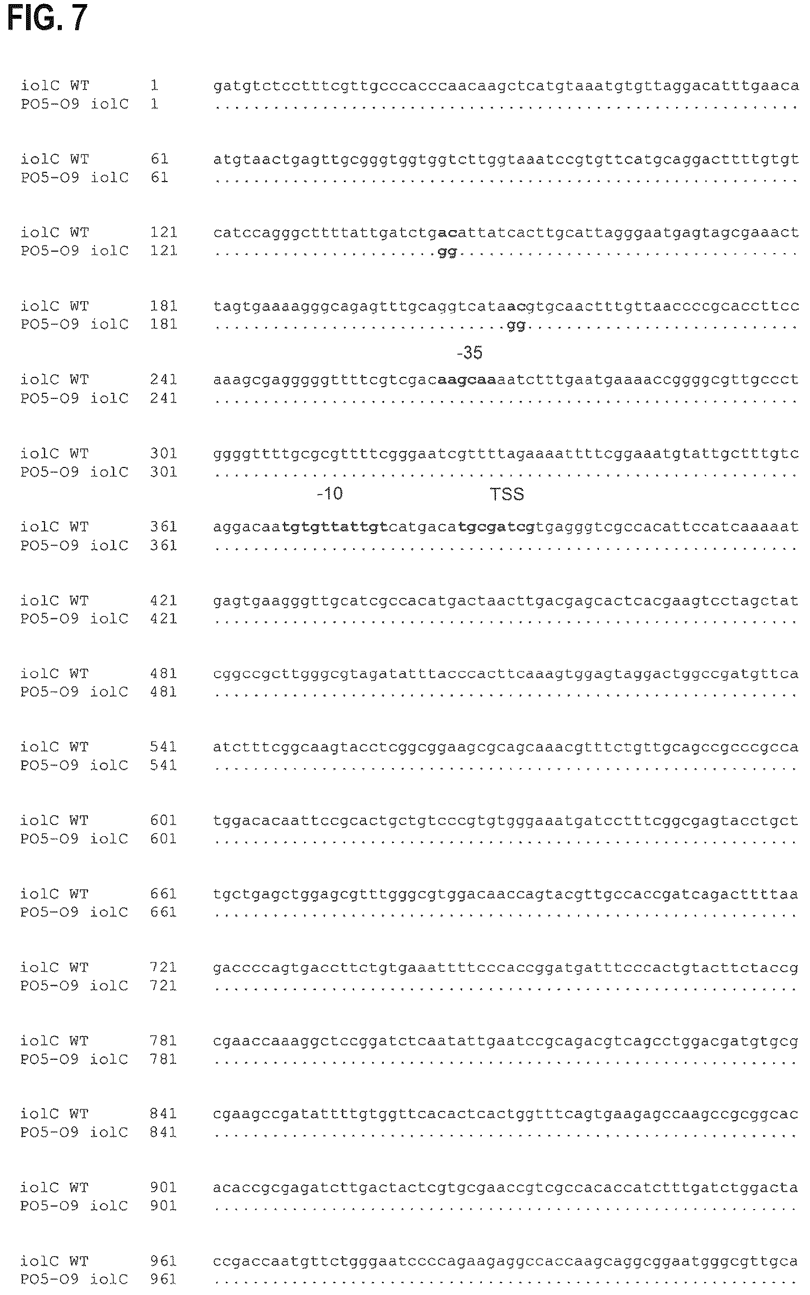 Patent US12312608 Figure 11 – D-xylose dehydrogenase from coryneform bacteria and process for preparing D-xylonate