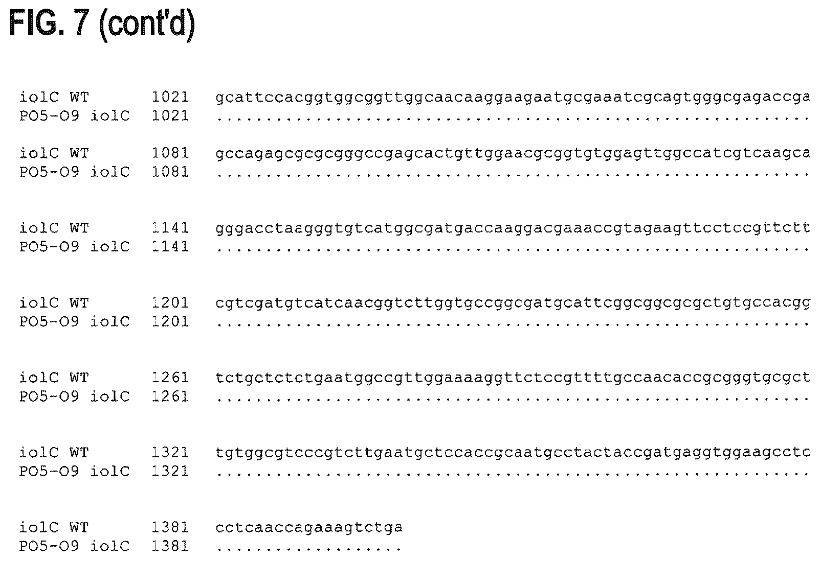 Patent US12312608 Figure 12 – D-xylose dehydrogenase from coryneform bacteria and process for preparing D-xylonate