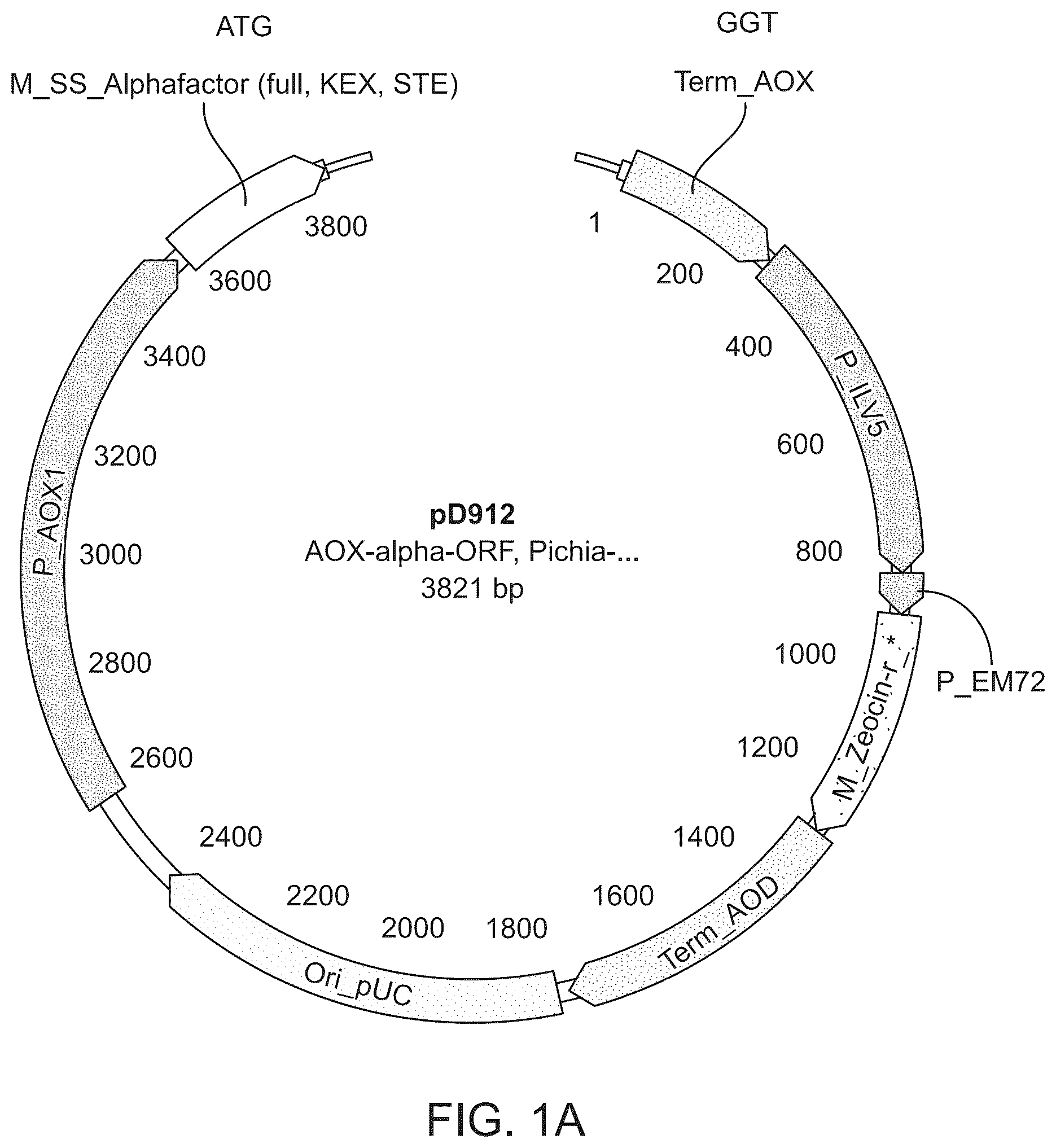 Patent US12312610 Figure 1 – Vaccinia capping enzyme compositions and methods