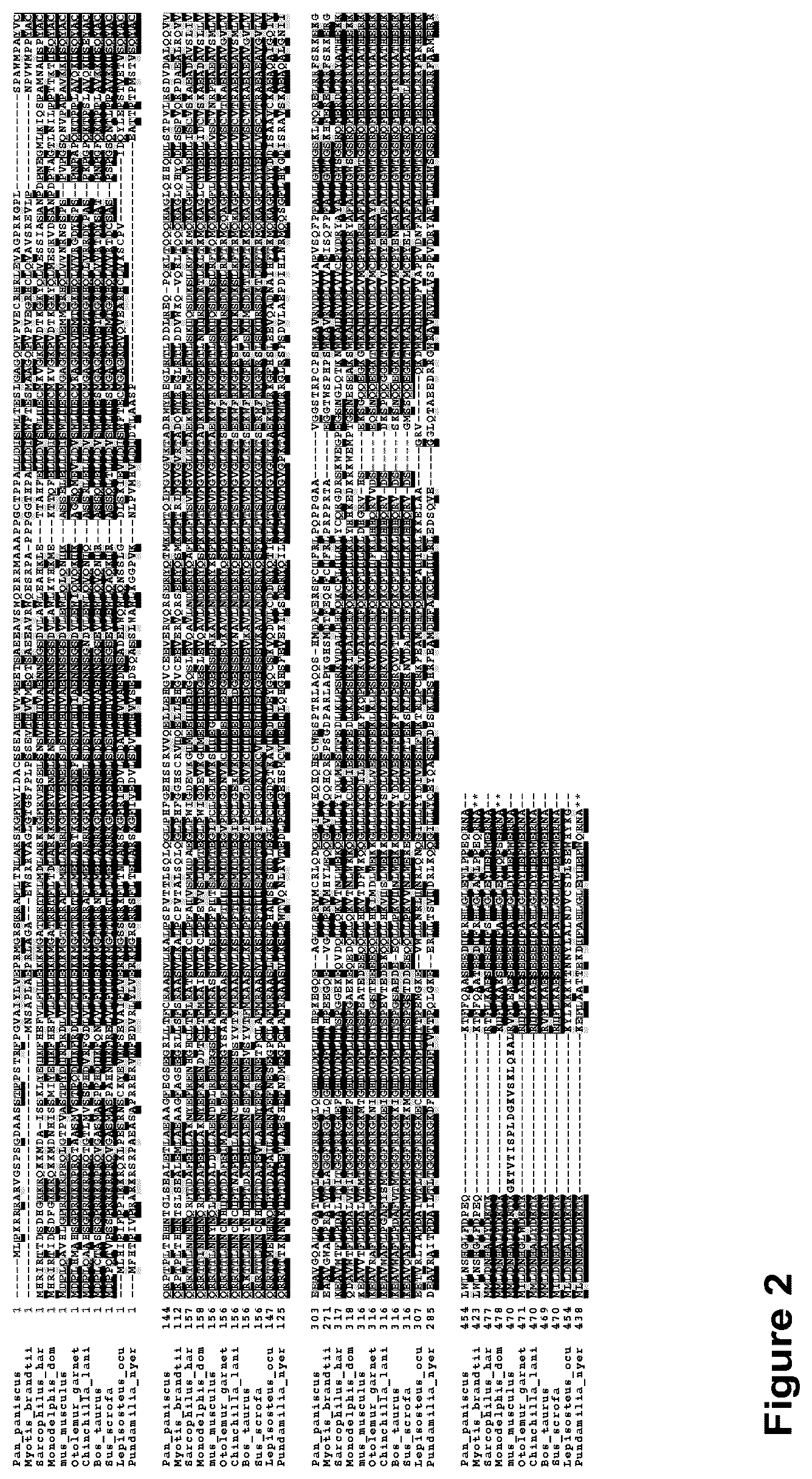 Patent US12312611 Figure 2 – Modified terminal deoxynucleotidyl transferase (TdT) enzymes
