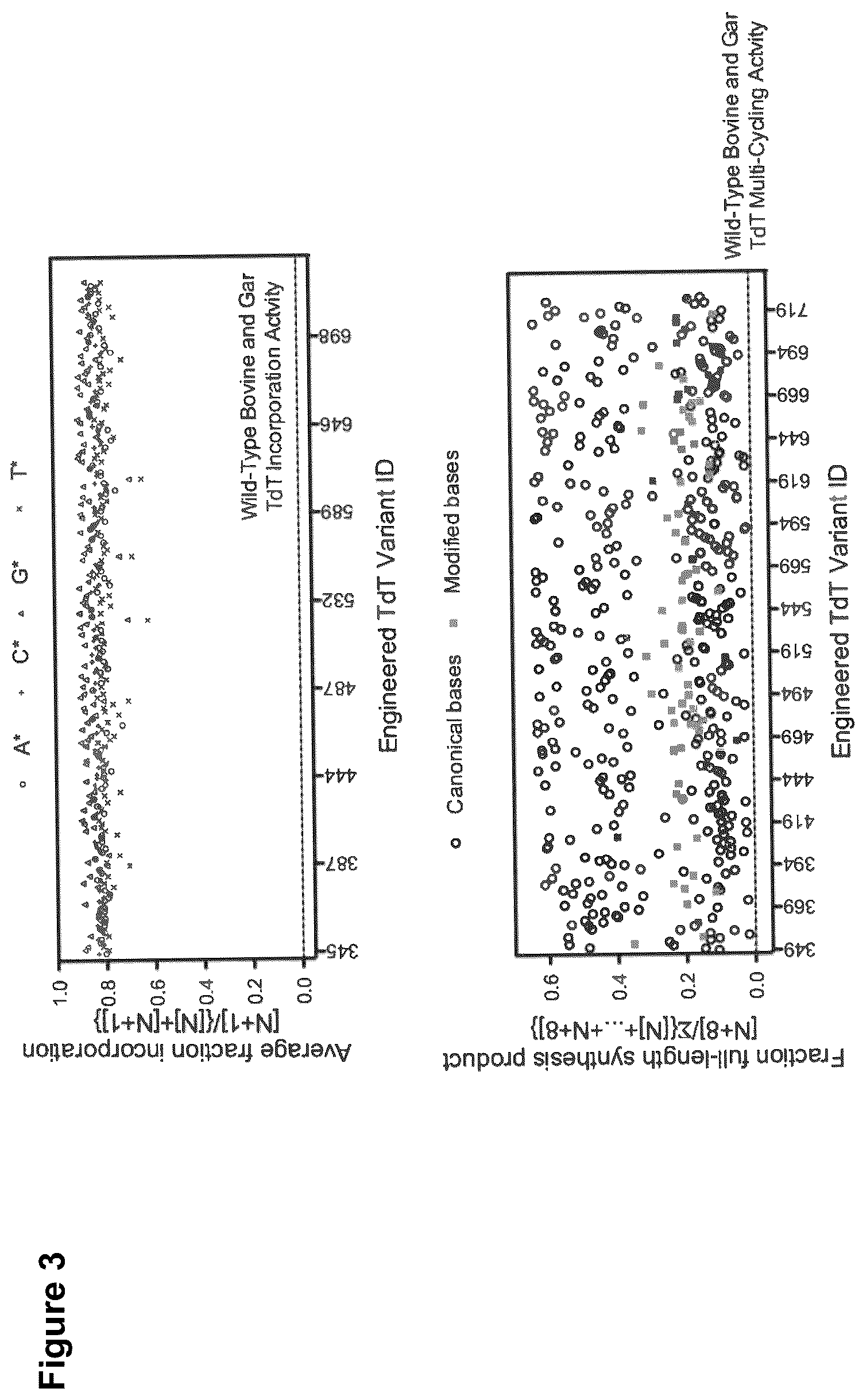 Patent US12312611 Figure 3 – Modified terminal deoxynucleotidyl transferase (TdT) enzymes