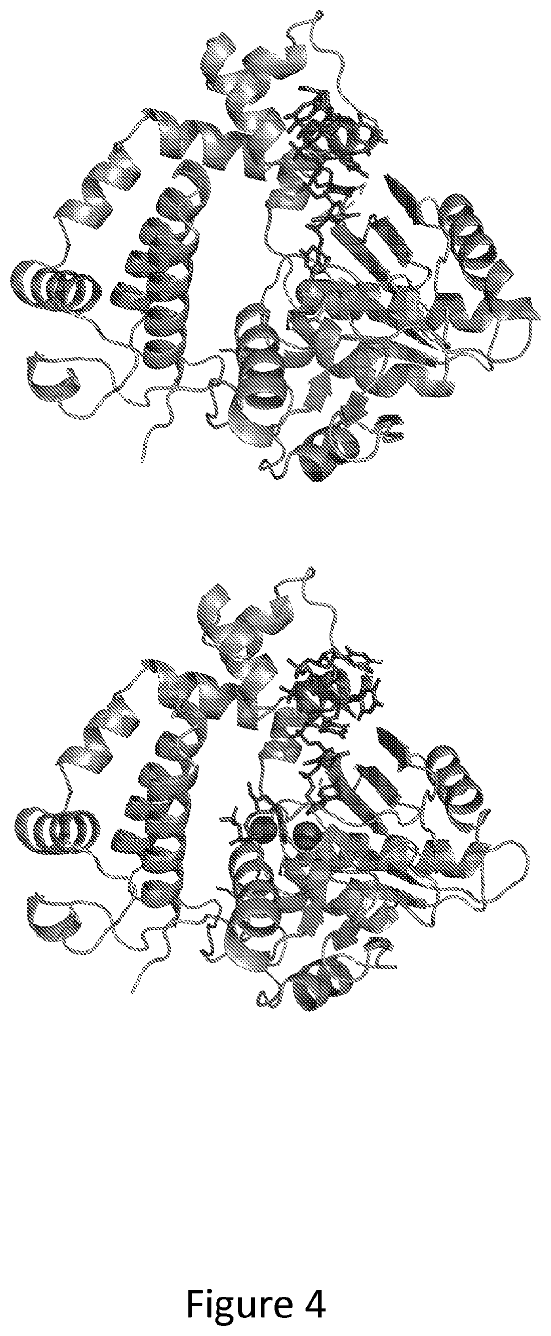 Patent US12312611 Figure 4 – Modified terminal deoxynucleotidyl transferase (TdT) enzymes