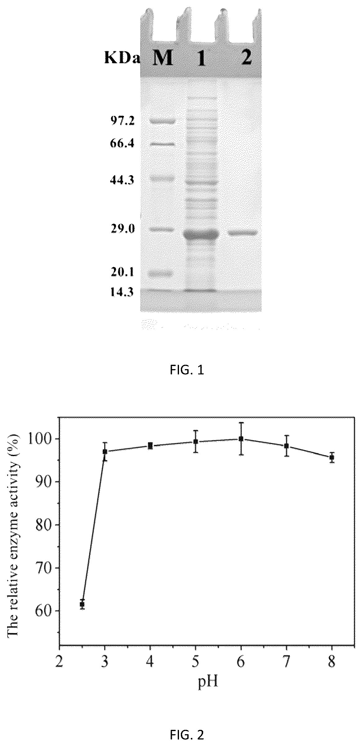 Patent US12312612 — Acid phosphatase mutants and methods of using the same — Figure 1